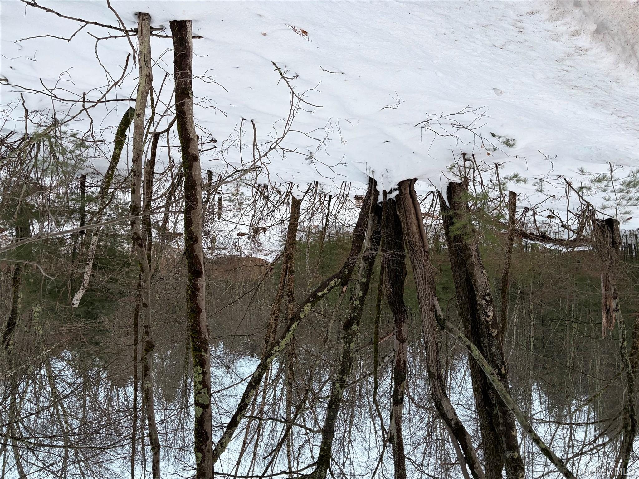 #5 photo, 00 Moscoe Road, Bethel , NY 12720