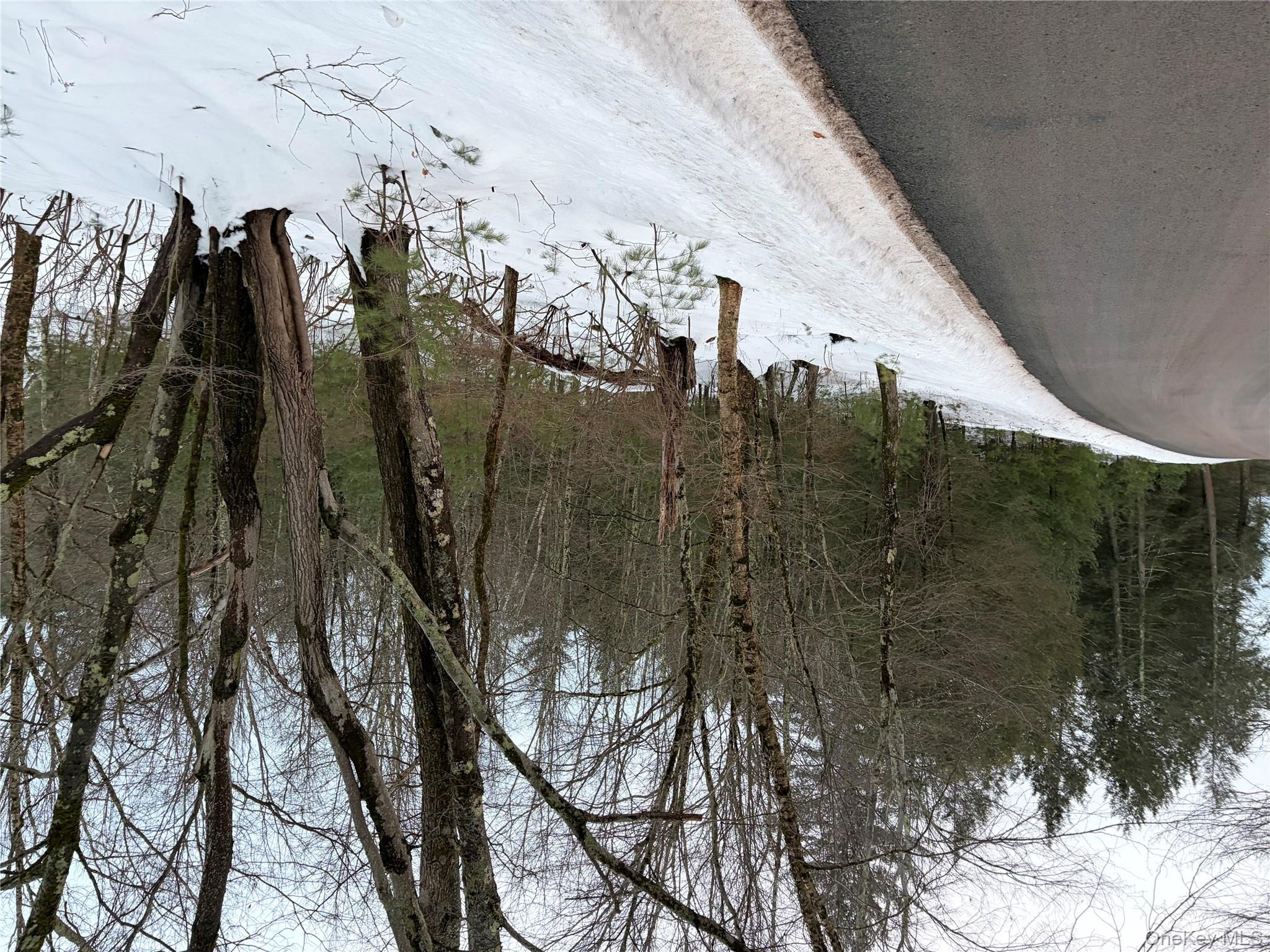 #6 photo, 00 Moscoe Road, Bethel , NY 12720