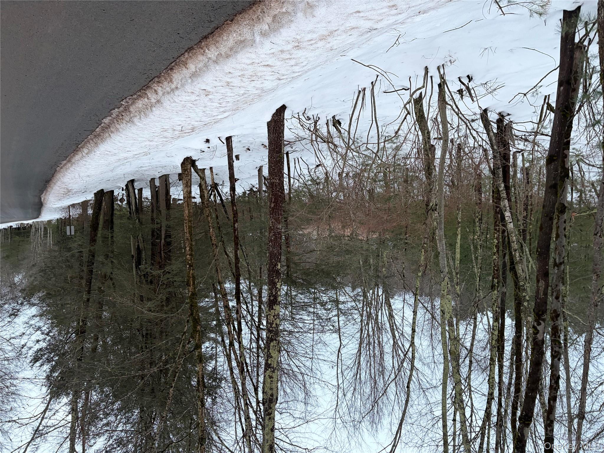 #7 photo, 00 Moscoe Road, Bethel , NY 12720