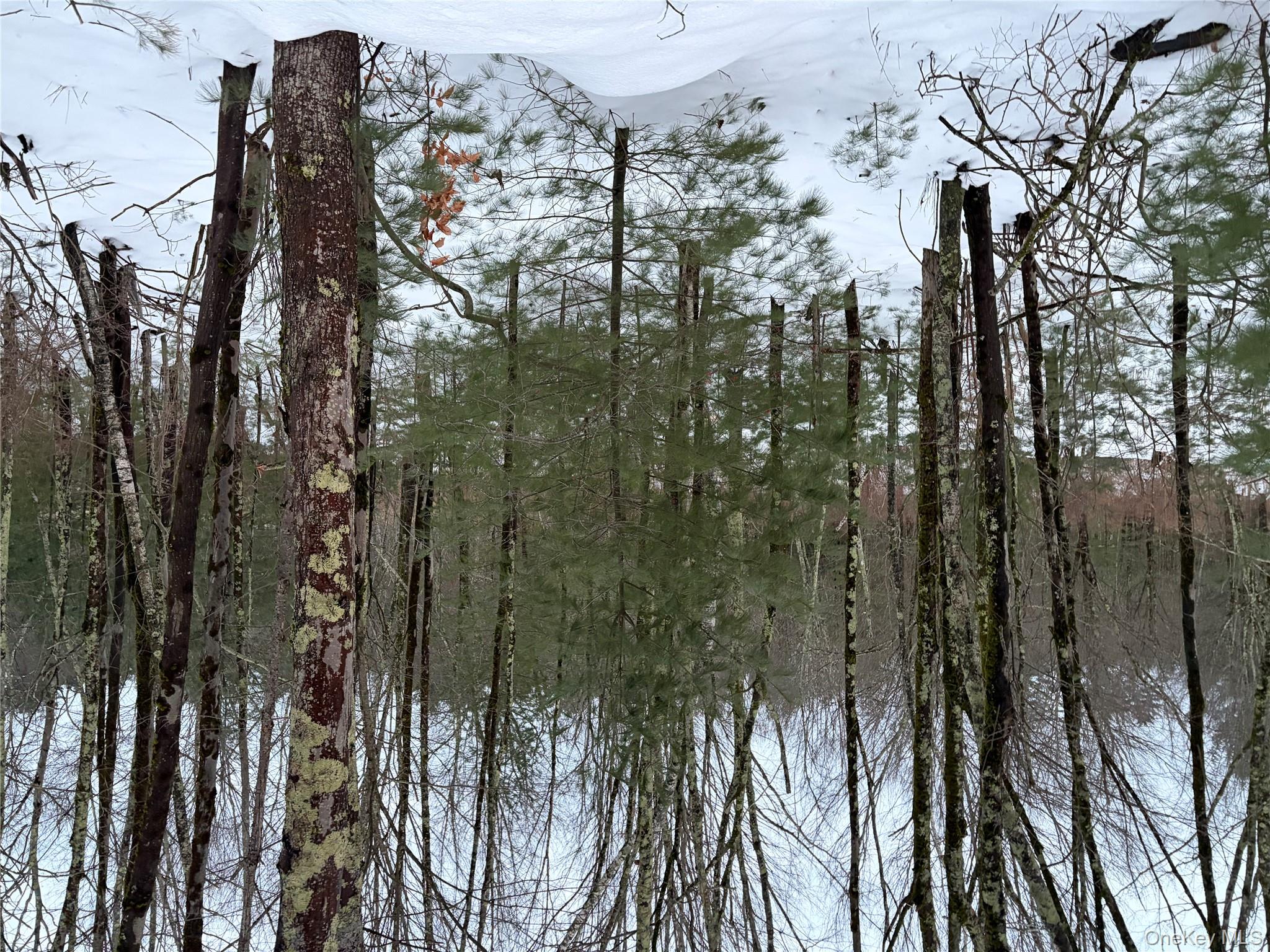 #8 photo, 00 Moscoe Road, Bethel , NY 12720