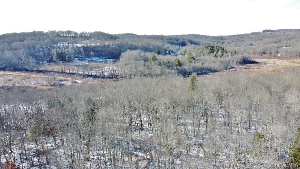 #7 photo, 000 Mongaup Road, Fallsburg , NY 12733