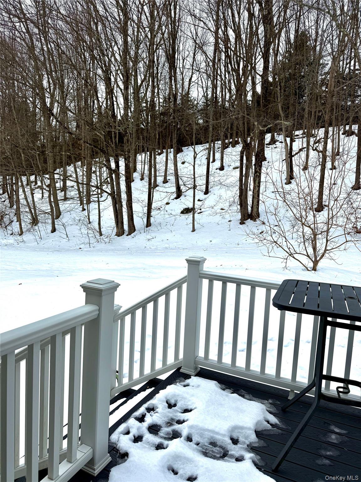 #8 photo, 91-97 Sawmill Road, Red Hook , NY 12571