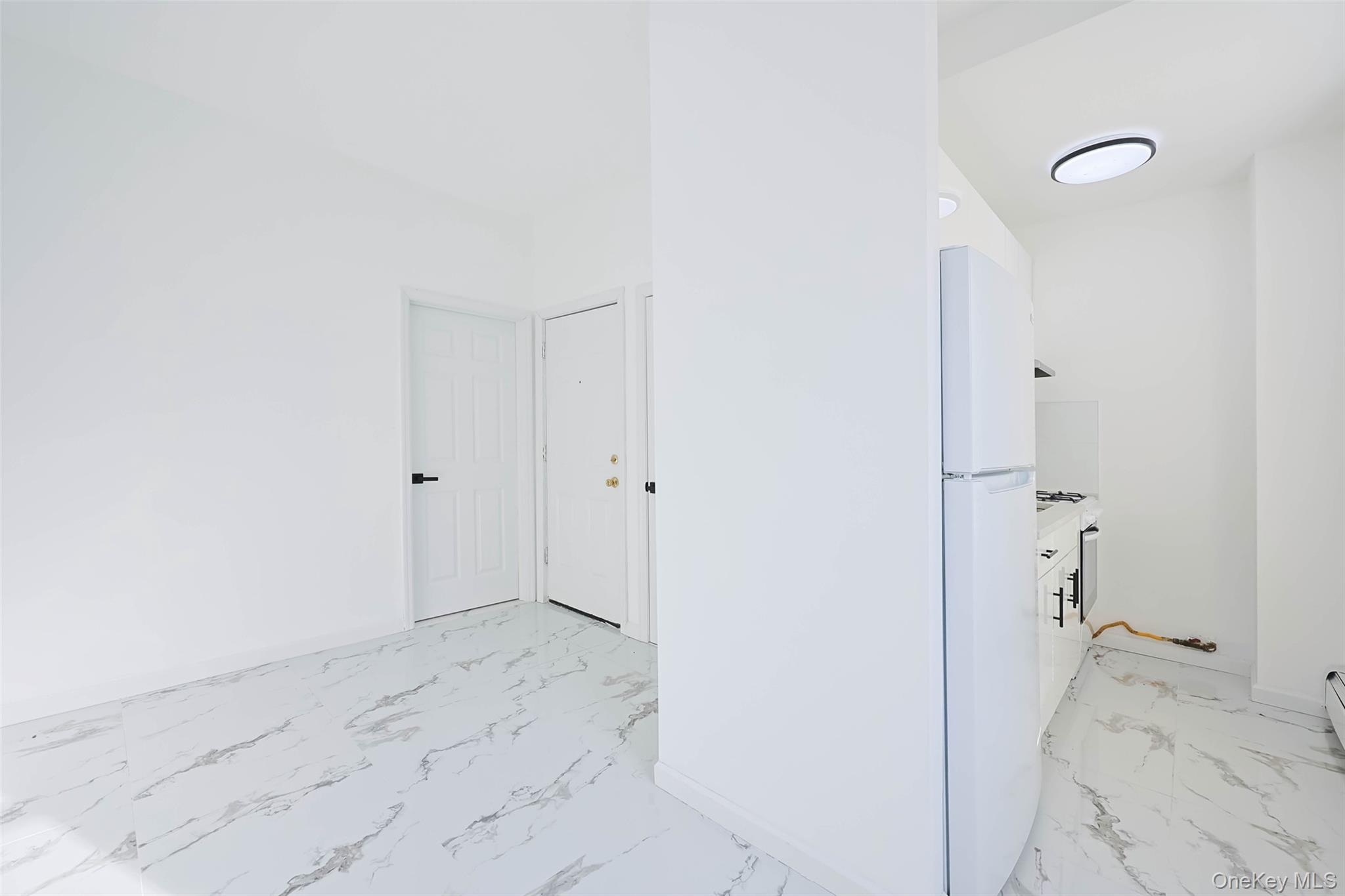 #17 photo, 918 E 165th Street, 布朗士 Bronx , NY 10459