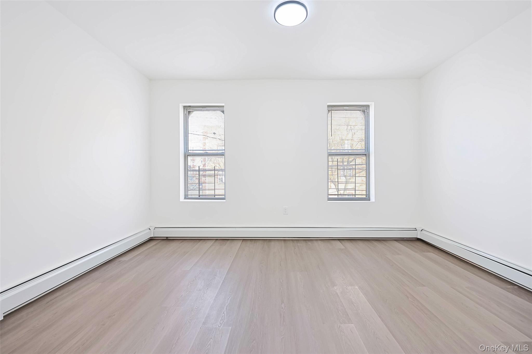 #3 photo, 918 E 165th Street, 布朗士 Bronx , NY 10459