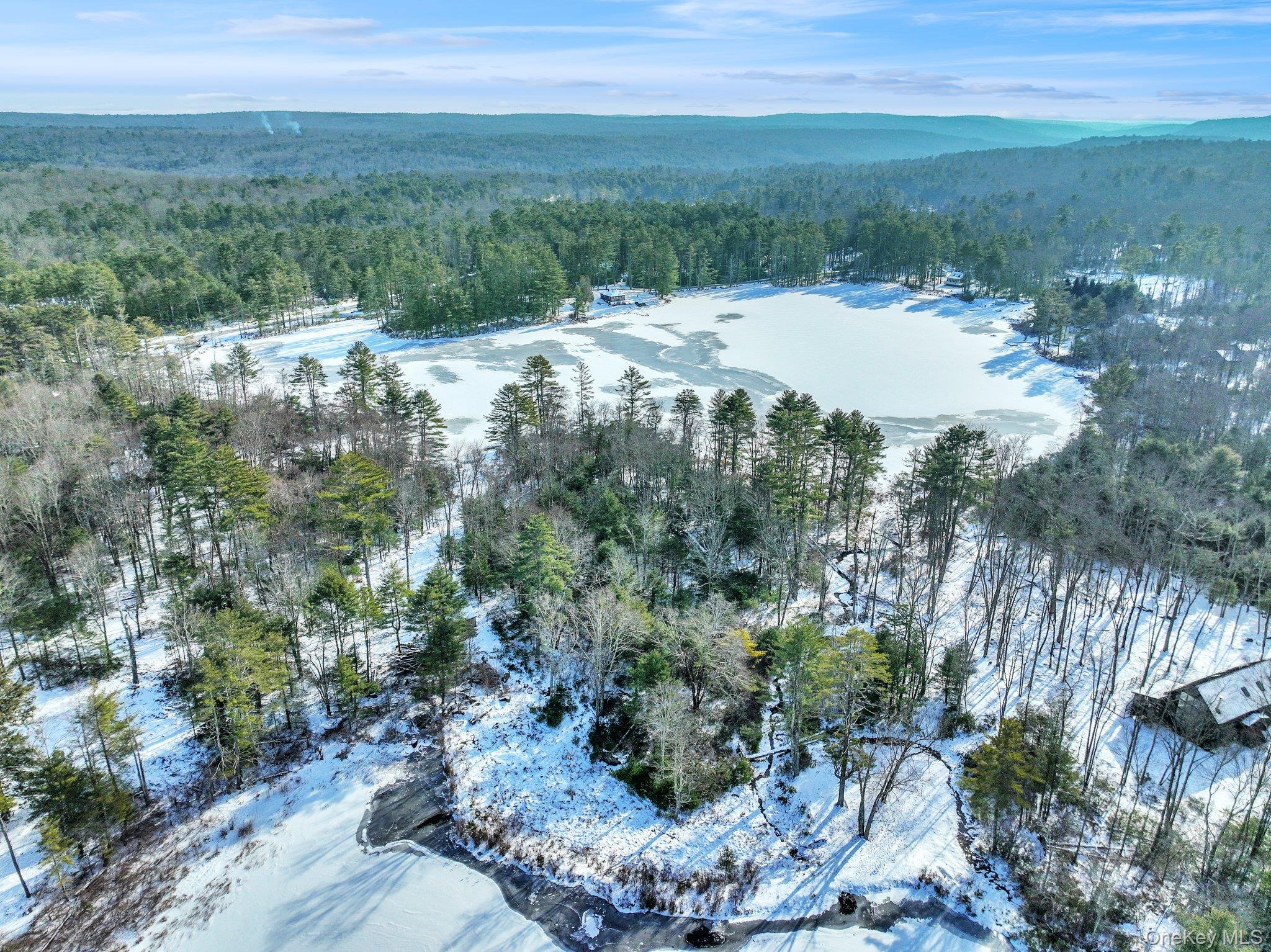 #3 photo, Lot  11.1 State Route 55 and Mail Road, 纽约州 Barryville , NY 12719