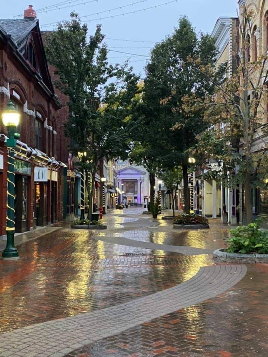 #1 photo, 132 Jay St., #6, 纽约州 Schenectady , NY 12305