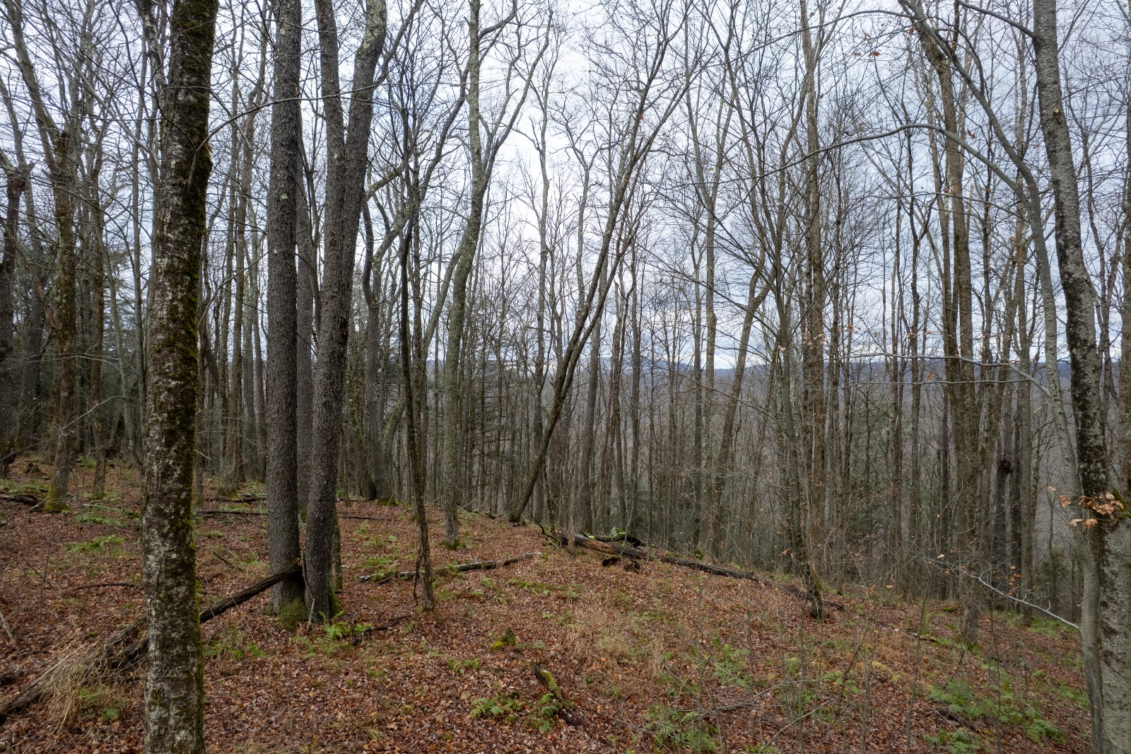 #10 photo, 0 Hardwood Lane, Hancock , NY 13783