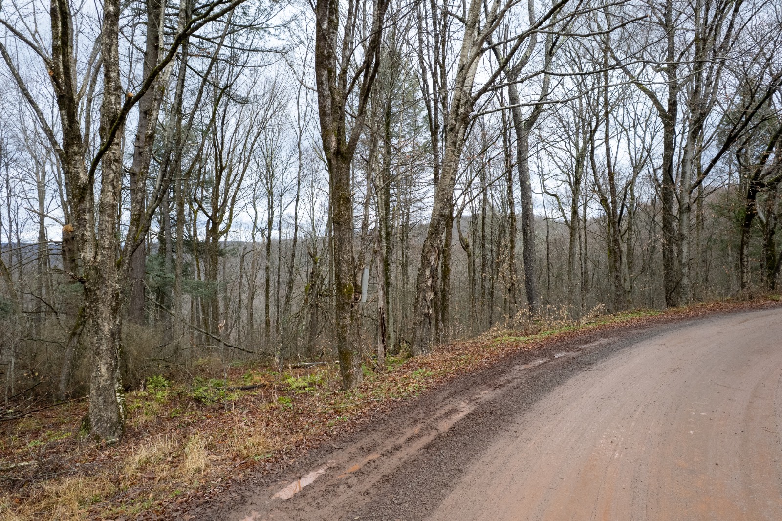 #11 photo, 0 Hardwood Lane, Hancock , NY 13783