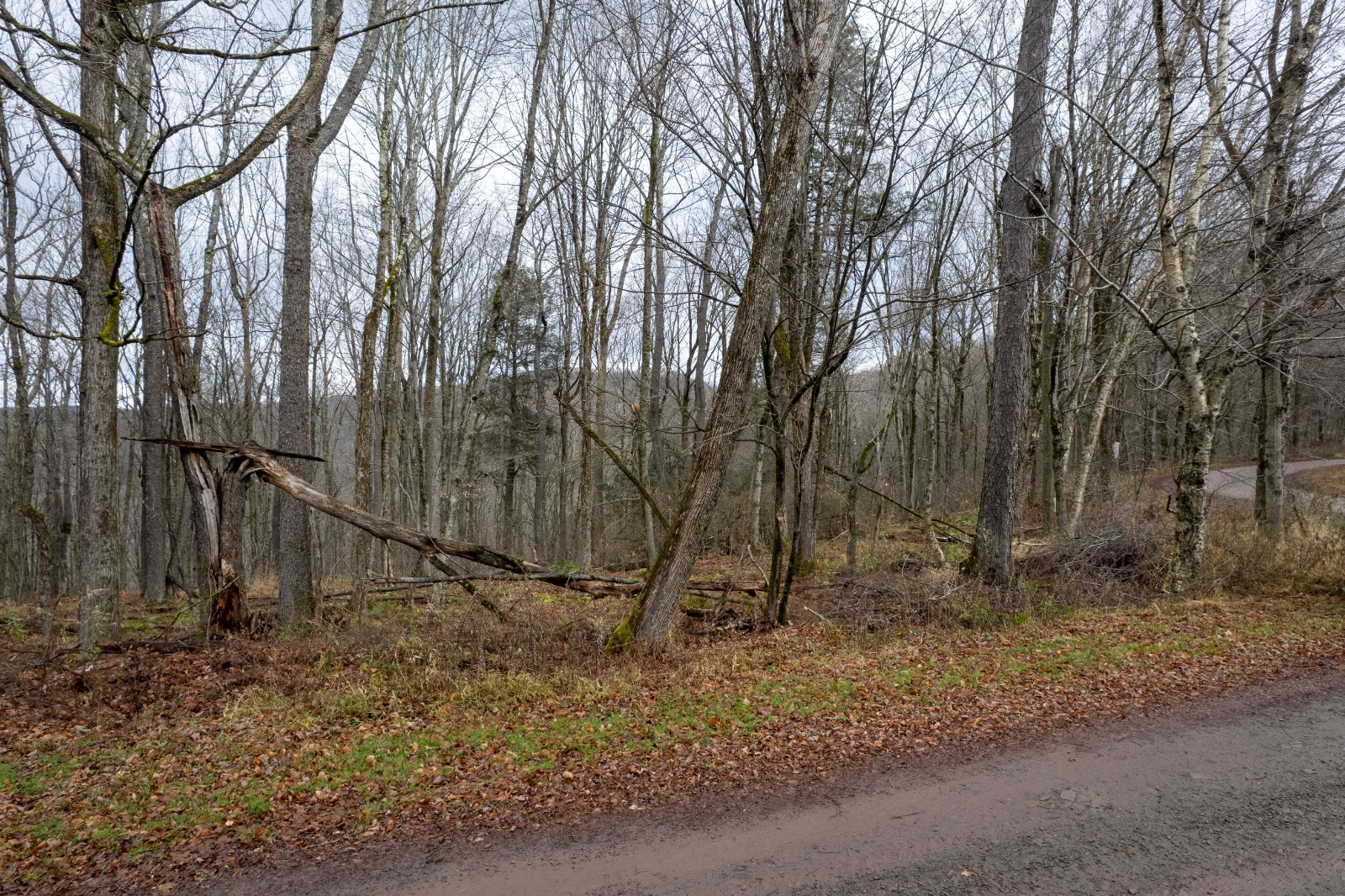 #7 photo, 0 Hardwood Lane, Hancock , NY 13783