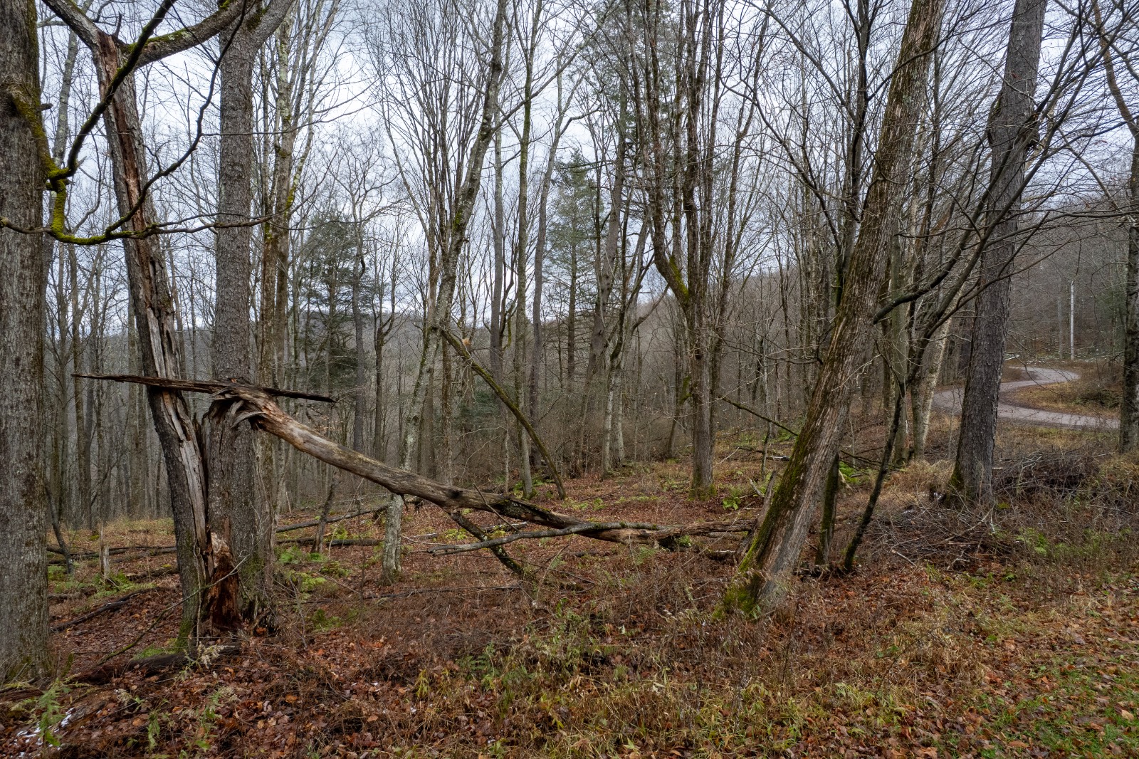 #8 photo, 0 Hardwood Lane, Hancock , NY 13783