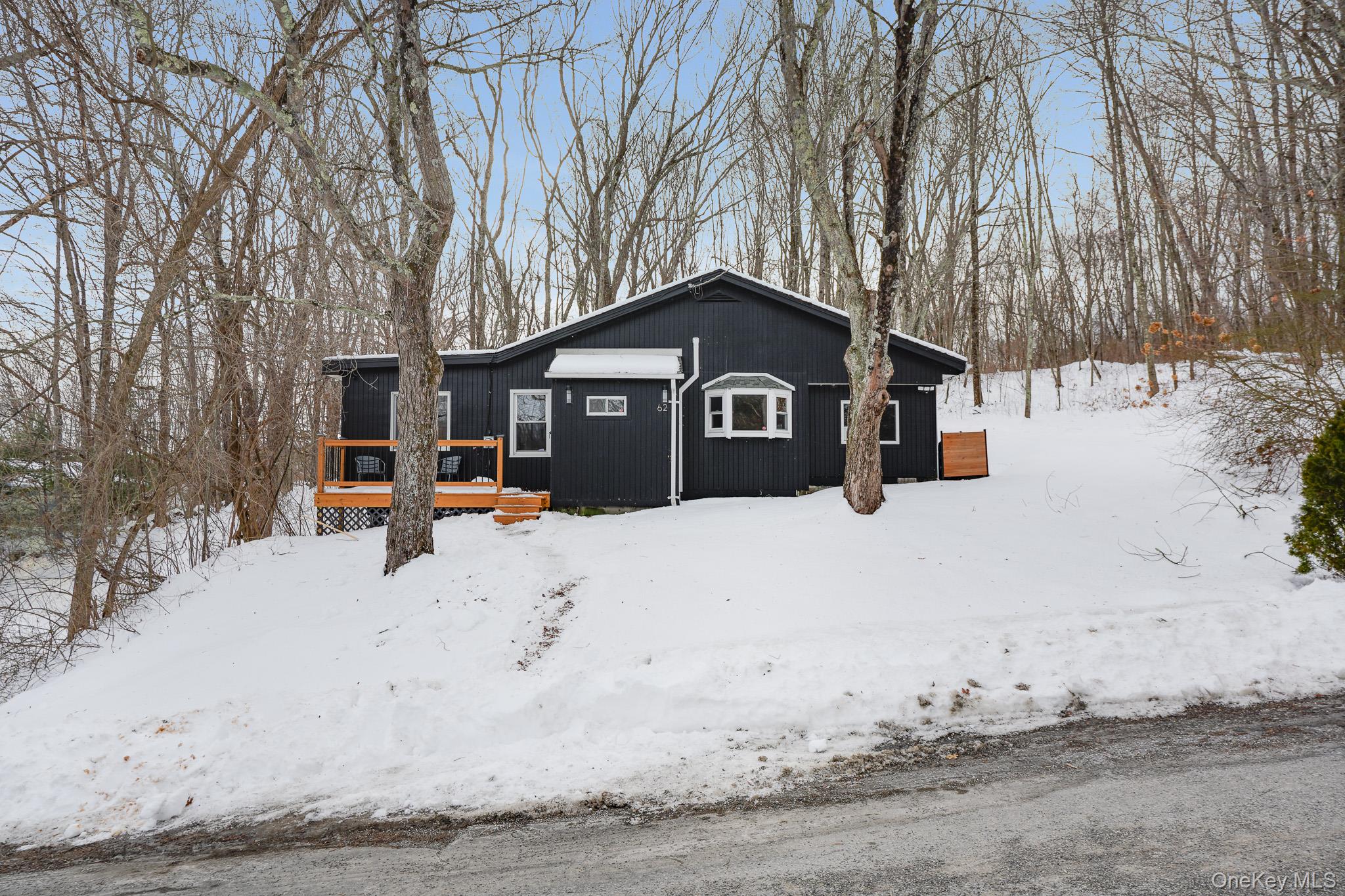 #1 photo, 62 Netherwood Plaza, Hyde Park , NY 12578