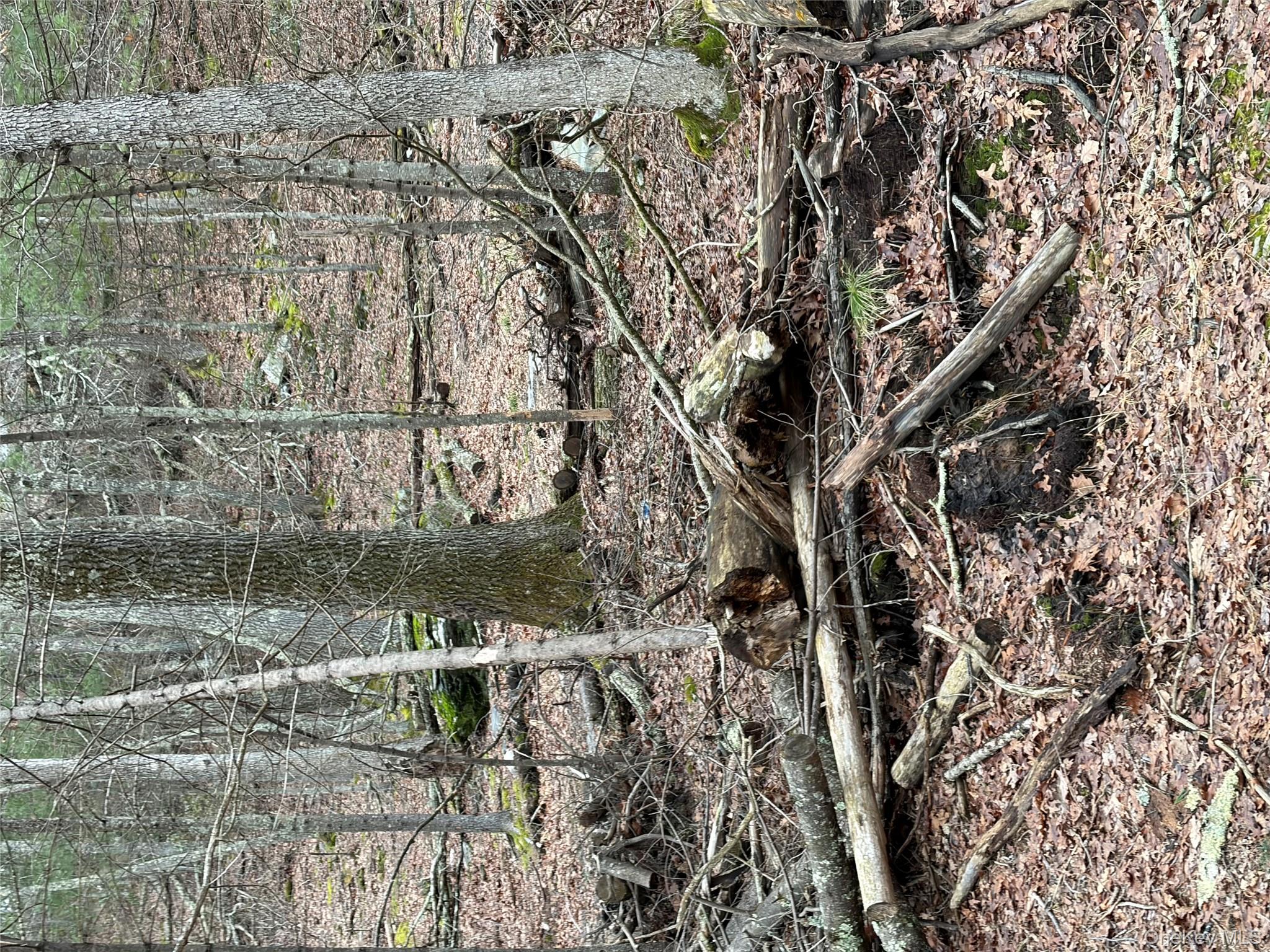 #10 photo, 0 Red Hill Road, 紐約州 Wurtsboro , NY 12790