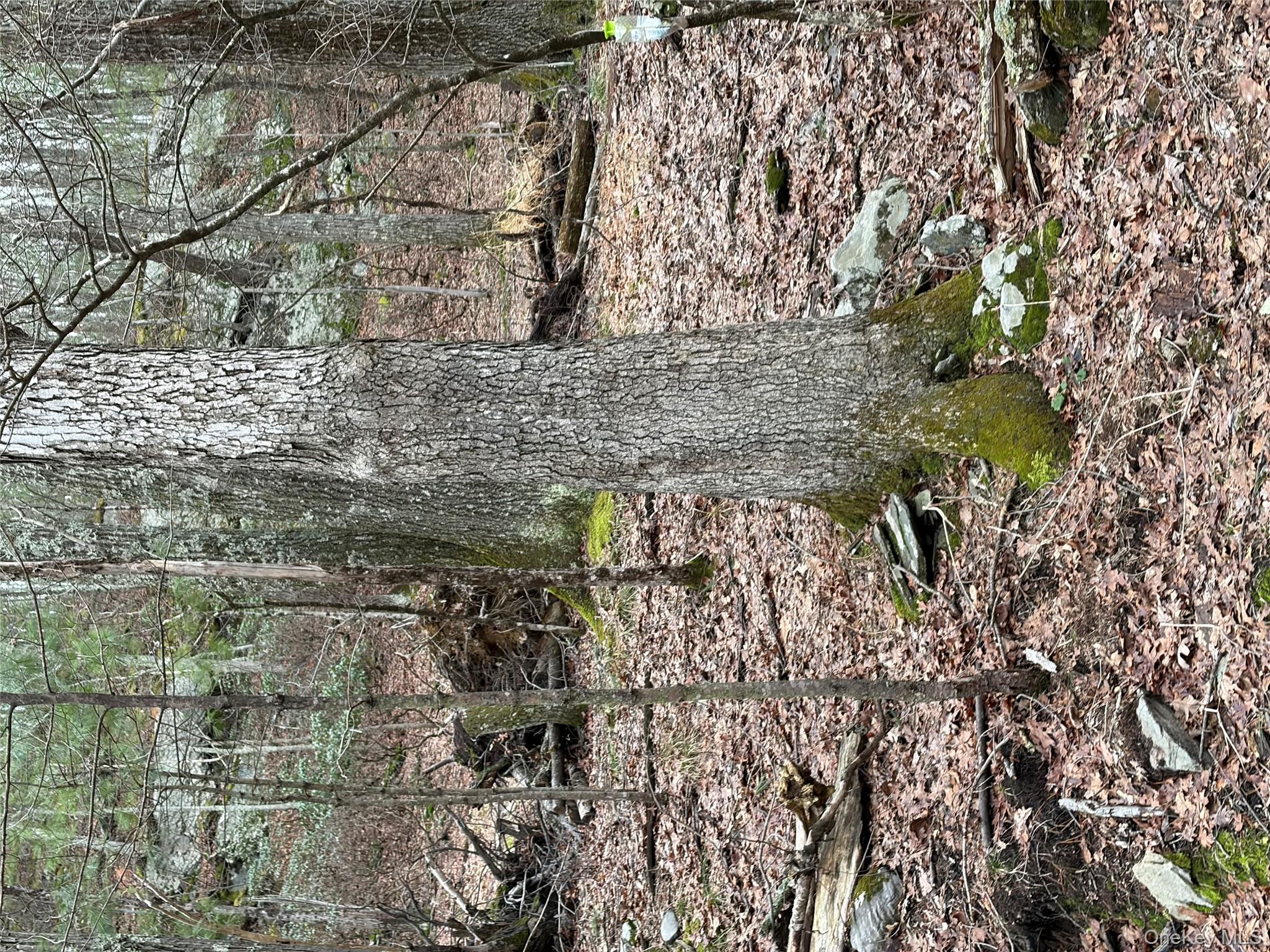 #11 photo, 0 Red Hill Road, 紐約州 Wurtsboro , NY 12790