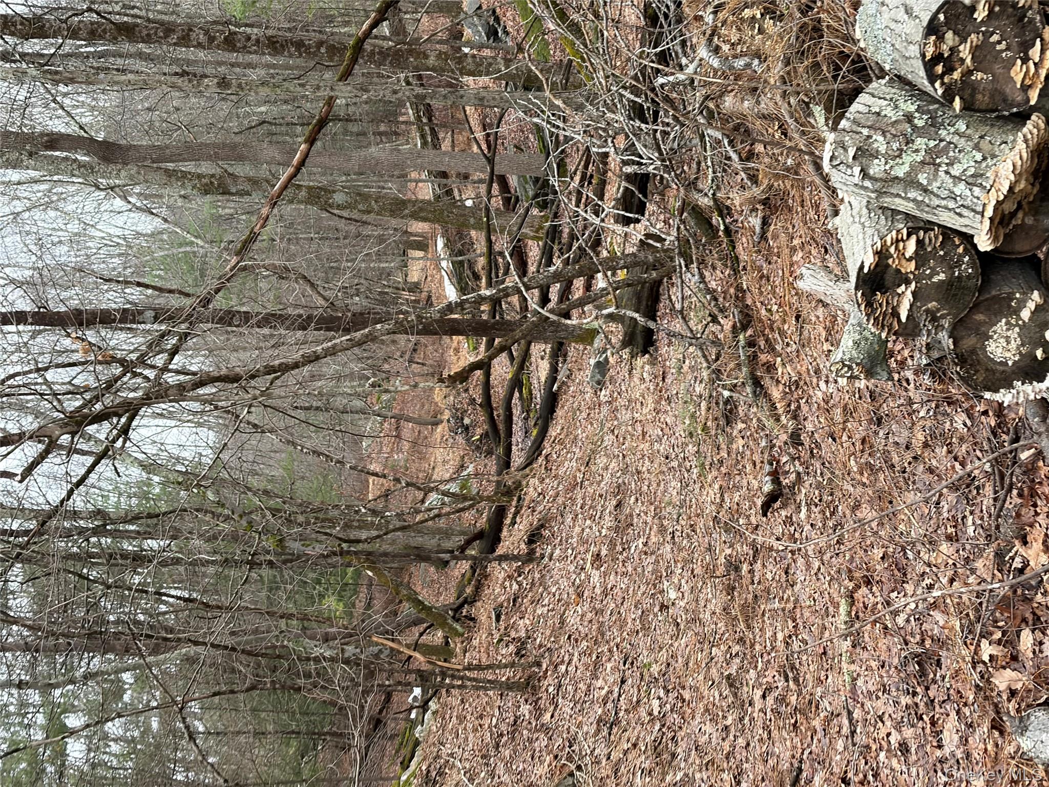 #12 photo, 0 Red Hill Road, 紐約州 Wurtsboro , NY 12790