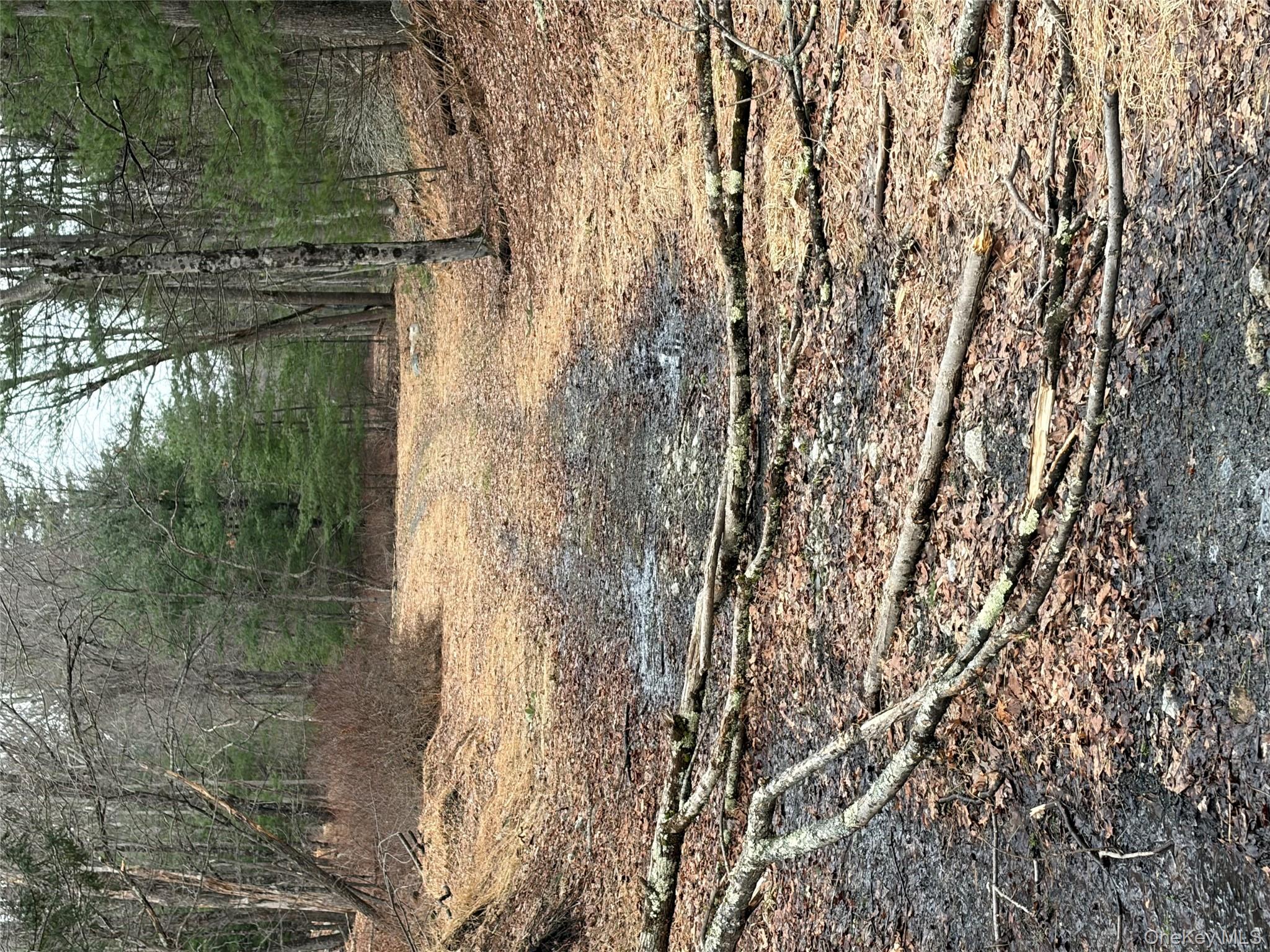 #14 photo, 0 Red Hill Road, 紐約州 Wurtsboro , NY 12790