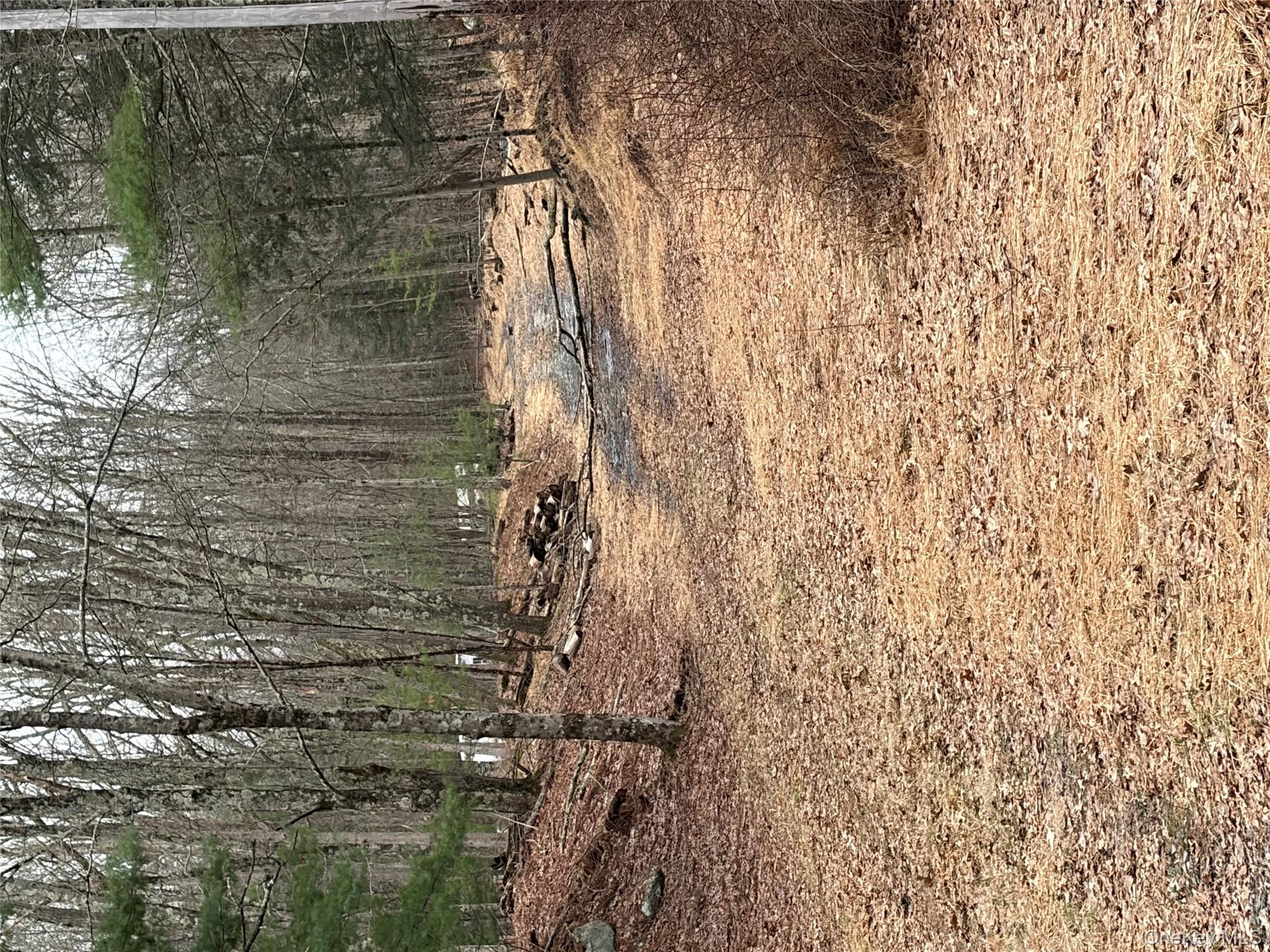 #15 photo, 0 Red Hill Road, 紐約州 Wurtsboro , NY 12790