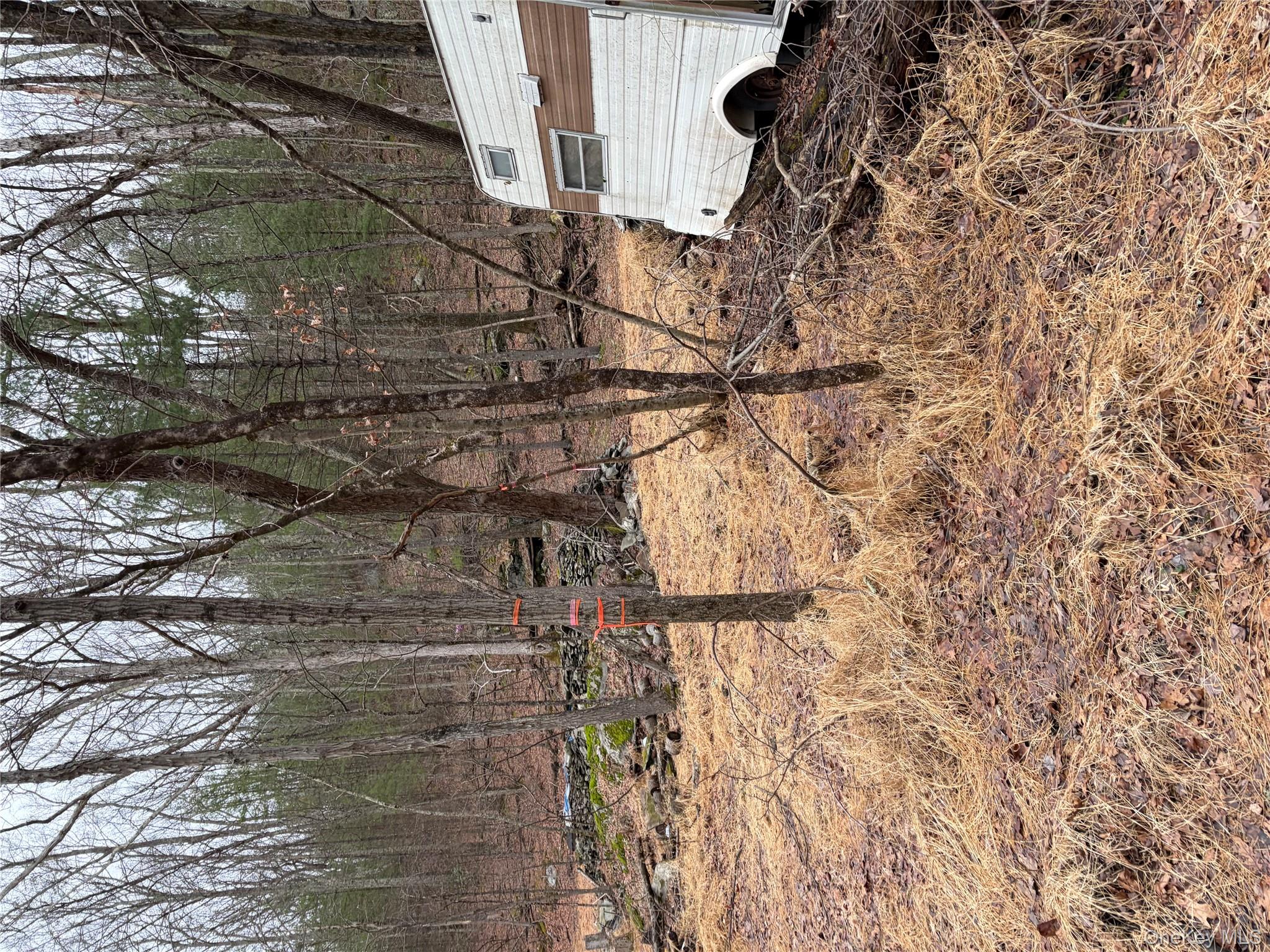 #16 photo, 0 Red Hill Road, 紐約州 Wurtsboro , NY 12790