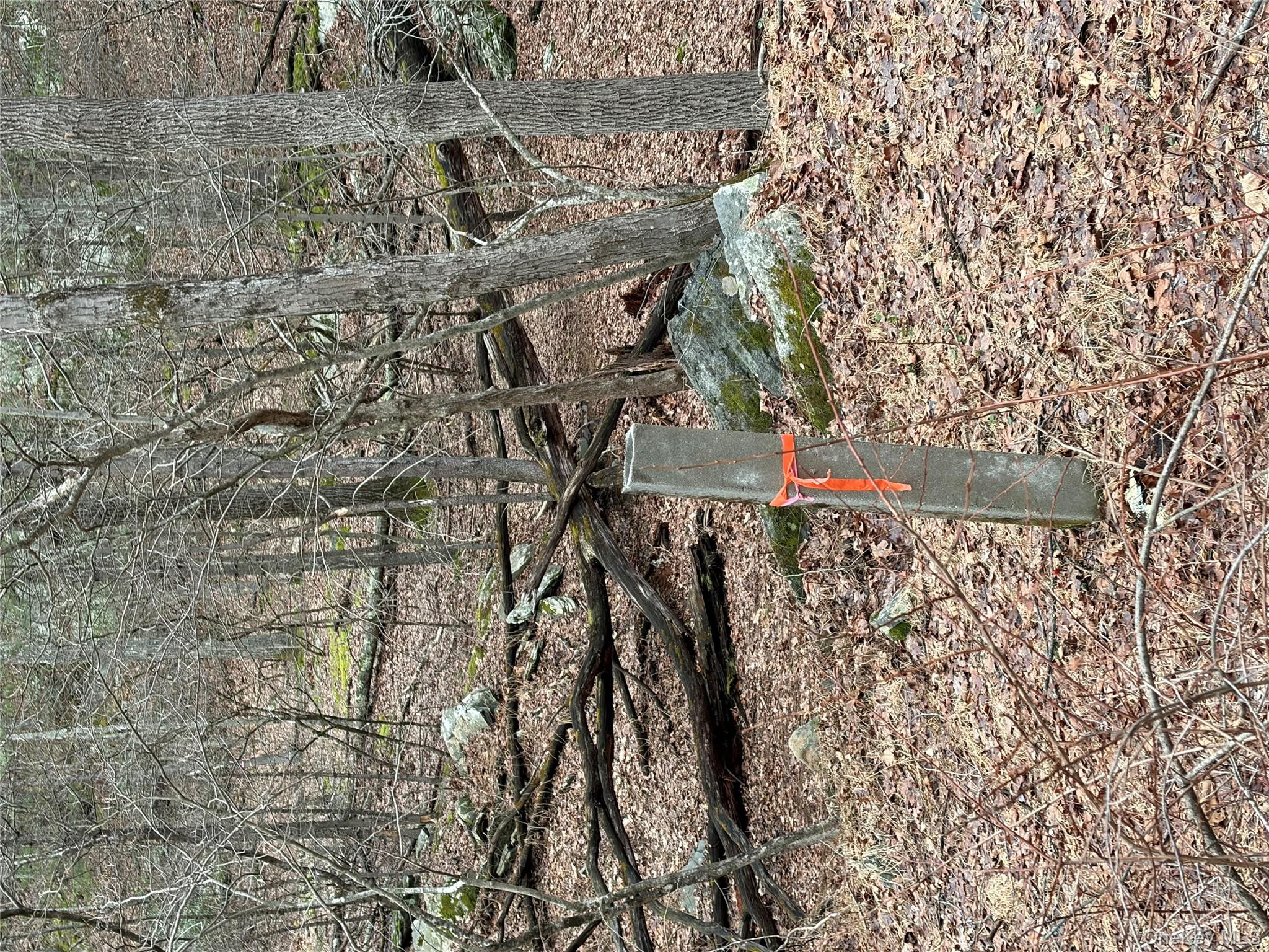 #17 photo, 0 Red Hill Road, 紐約州 Wurtsboro , NY 12790