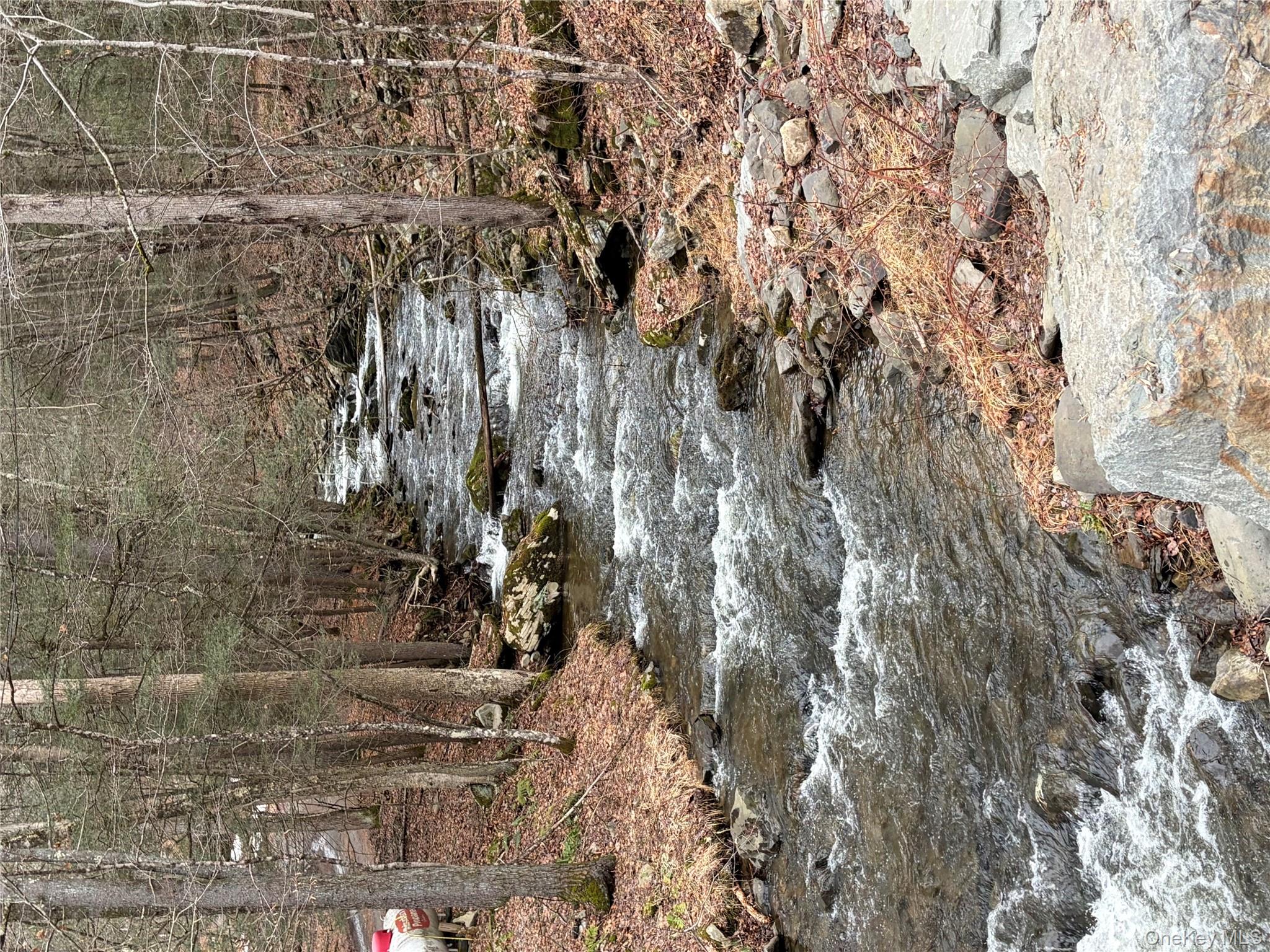 #2 photo, 0 Red Hill Road, 紐約州 Wurtsboro , NY 12790