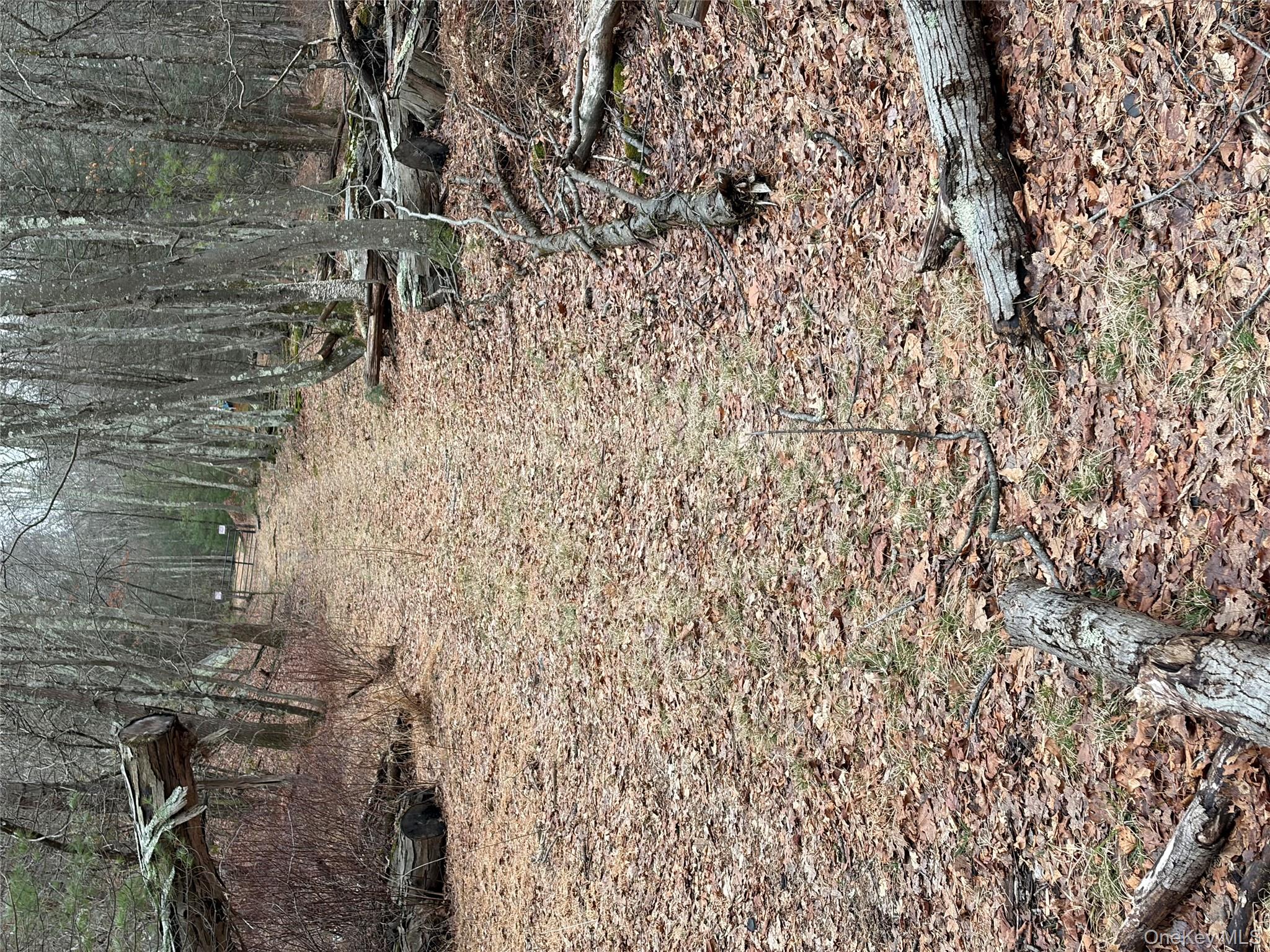 #5 photo, 0 Red Hill Road, 紐約州 Wurtsboro , NY 12790