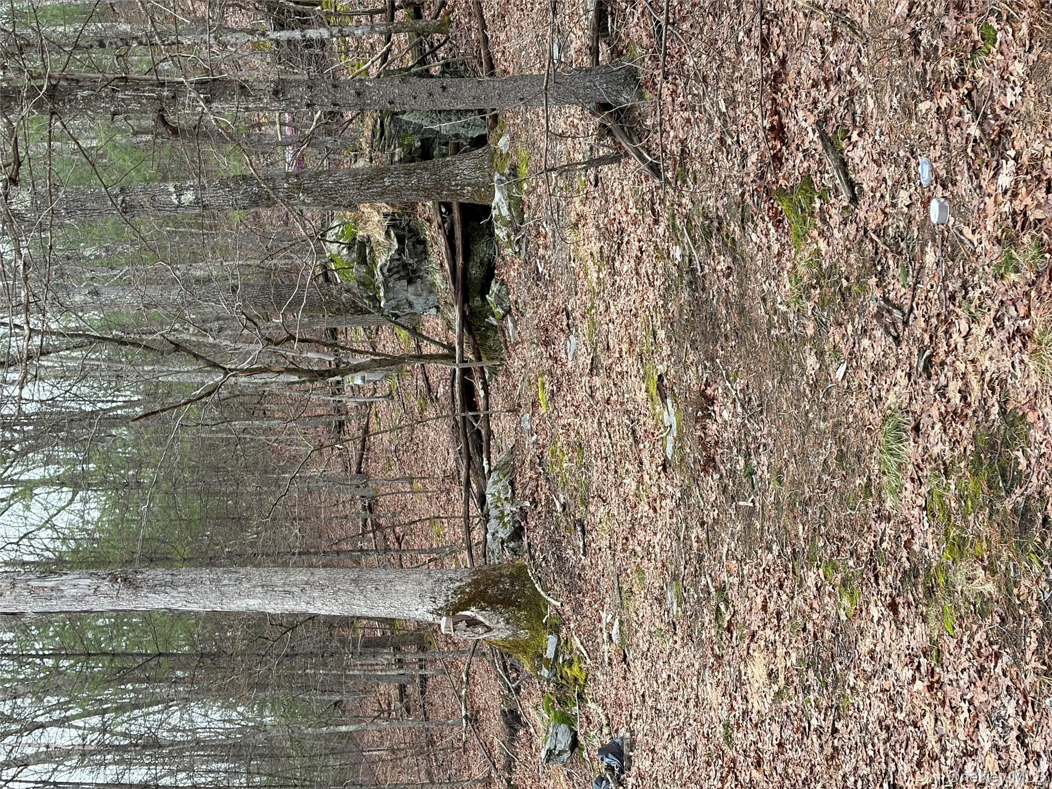 #9 photo, 0 Red Hill Road, 紐約州 Wurtsboro , NY 12790