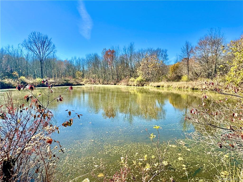 #7 photo, 255 Howells Road, Middletown , NY 10940