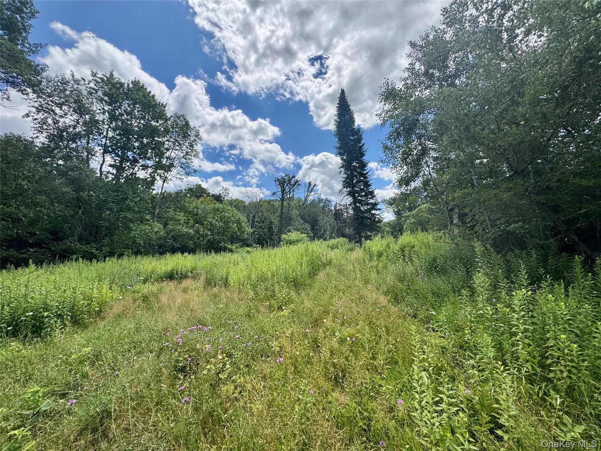 #17 photo, 64 Homestead Lane, 纽约州 Otisville , NY 10963