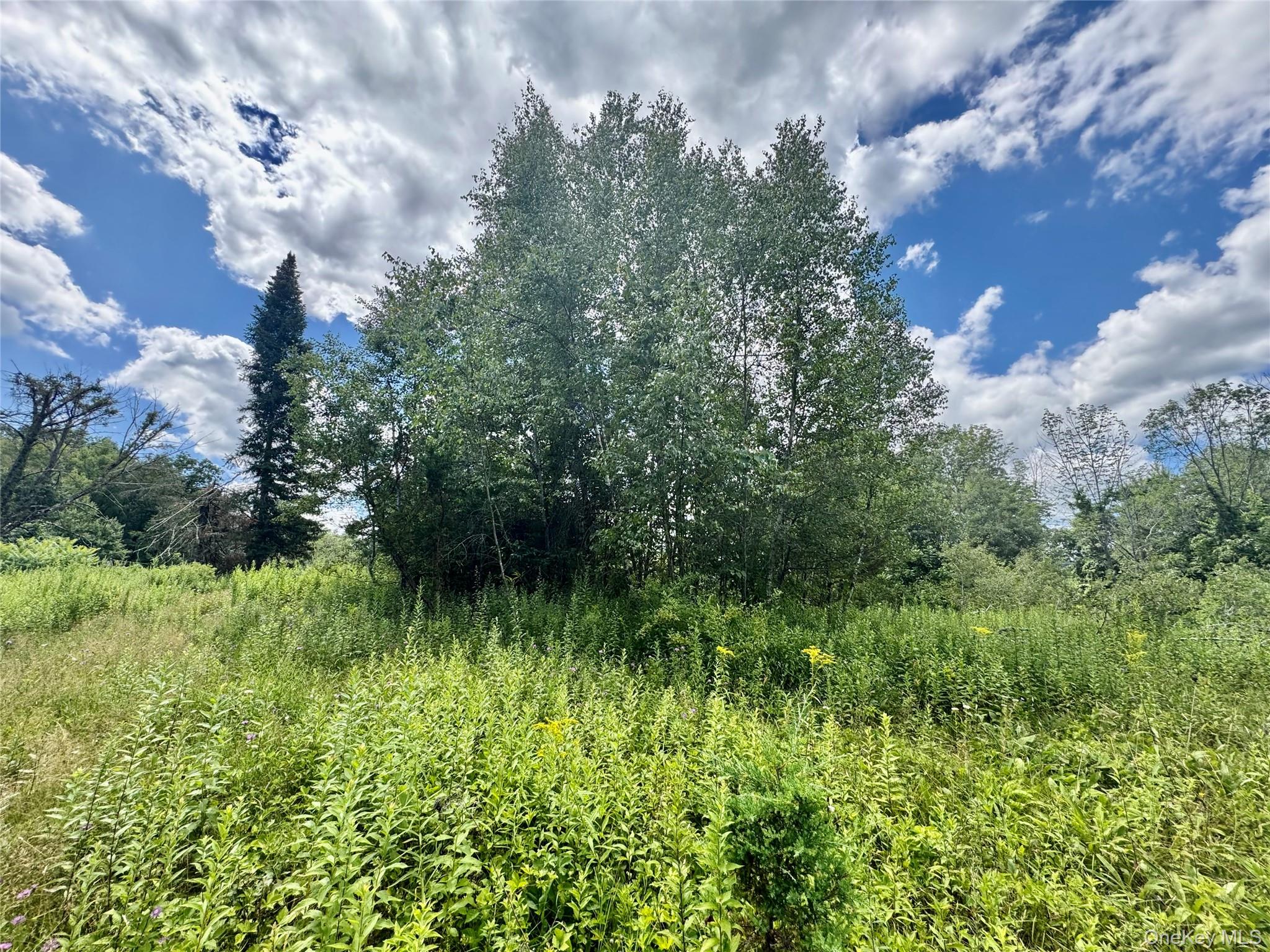 #18 photo, 64 Homestead Lane, 纽约州 Otisville , NY 10963