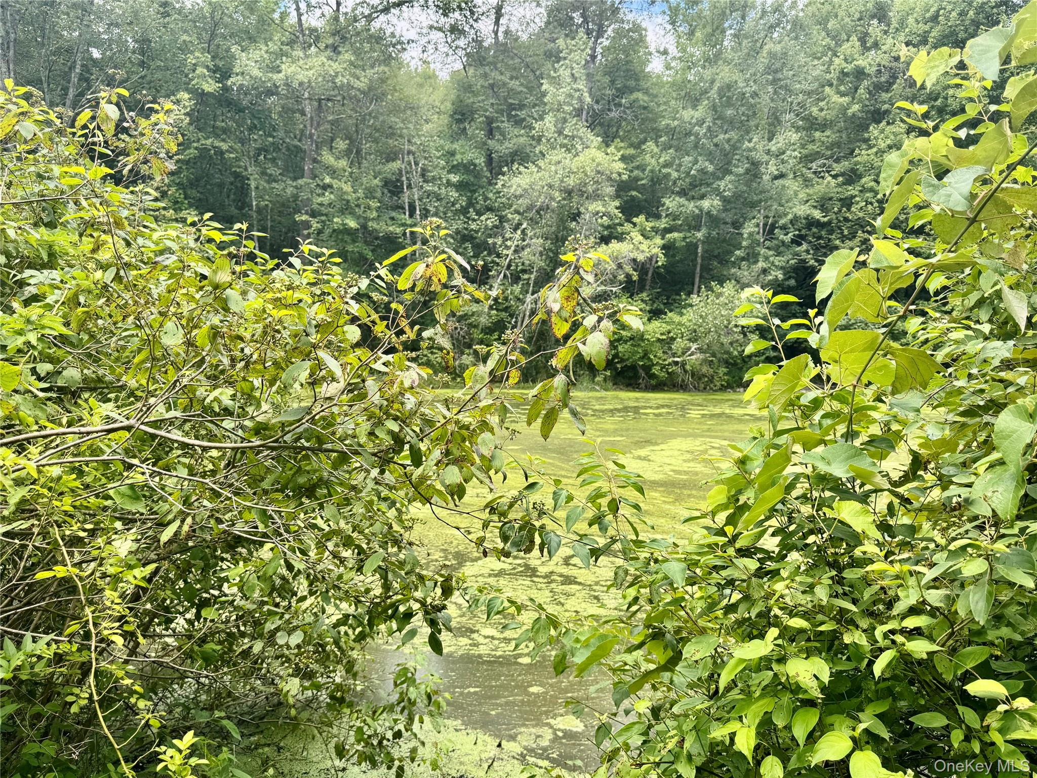 #19 photo, 64 Homestead Lane, 纽约州 Otisville , NY 10963