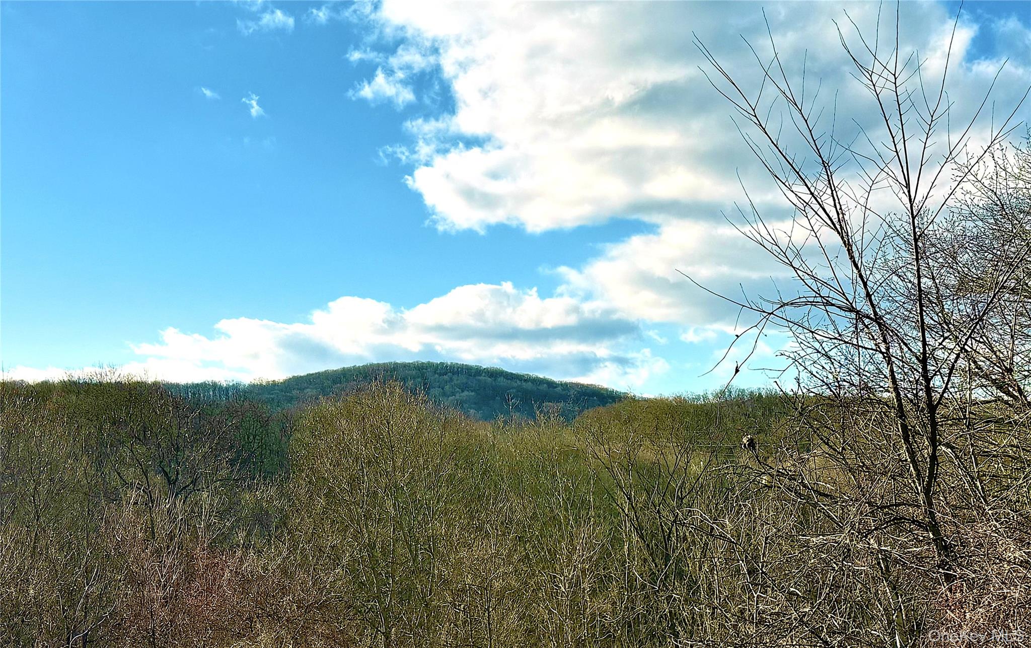 #11 photo, 40 Walnut Street, Pawling , NY 12564