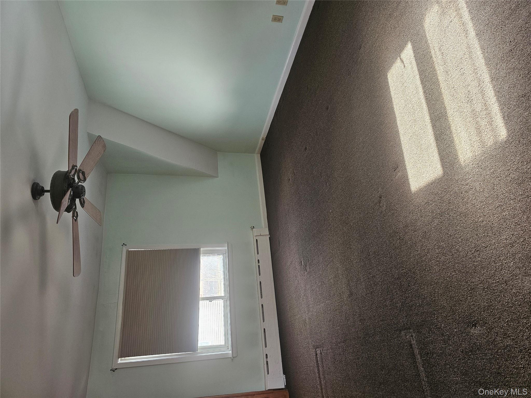 #8 photo, 14 Alemeda Street, 长岛 Inwood , NY 11096