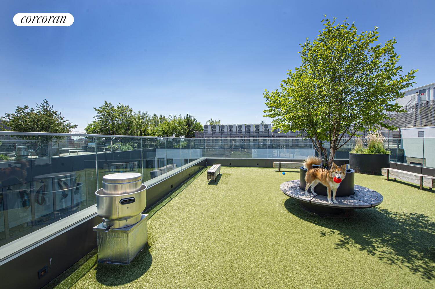 #14 photo, 54 NOLL Street, 布什维克 Bushwick , NY 11206