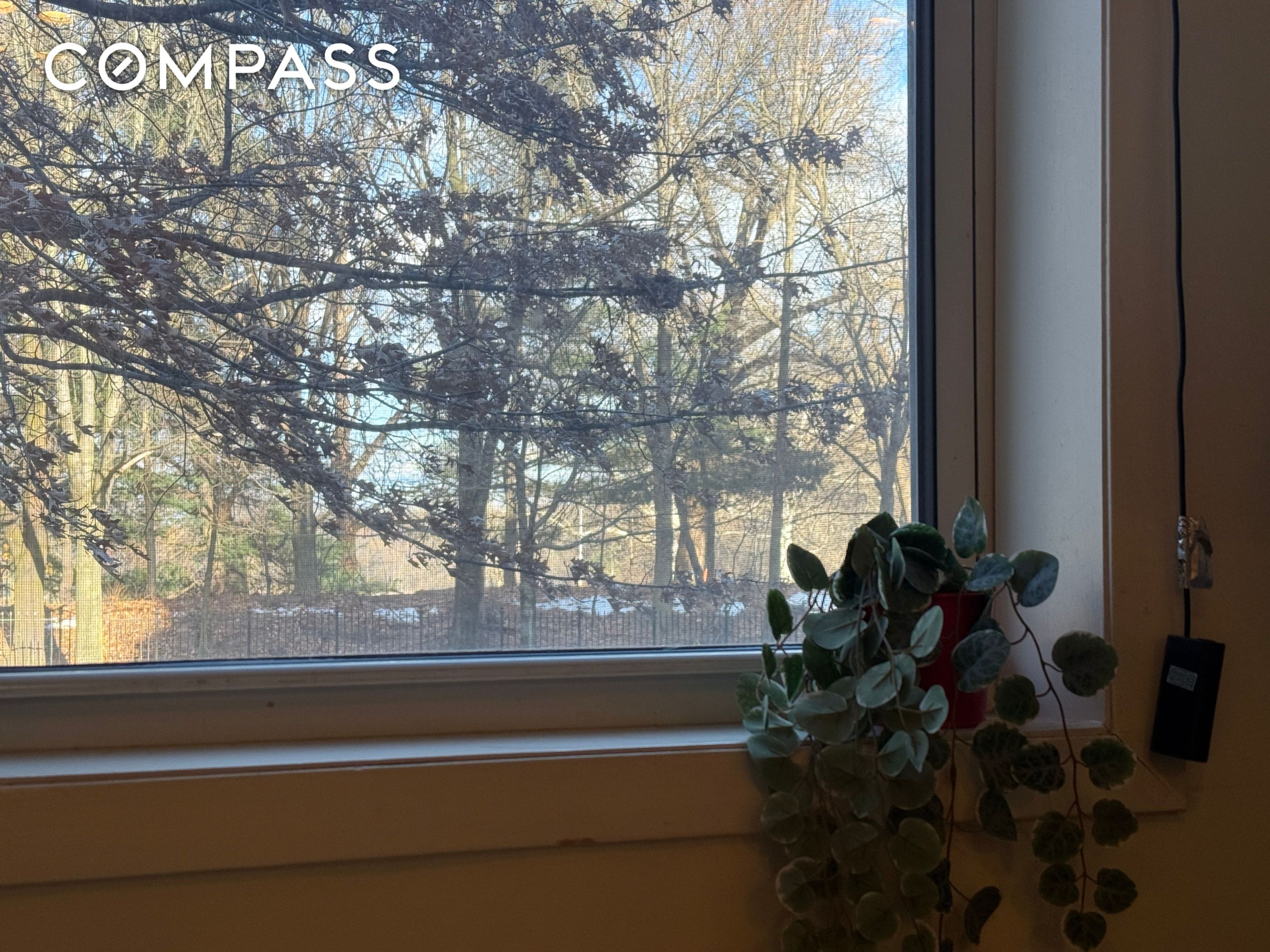 #3 photo, Brooklyn, Windsor Terrace , NY 11215