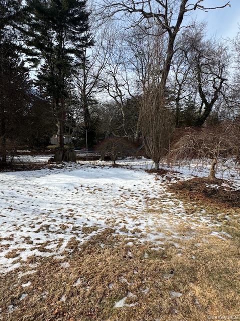 #16 photo, 7 Deer Park Road, Huntington Station , NY 11743