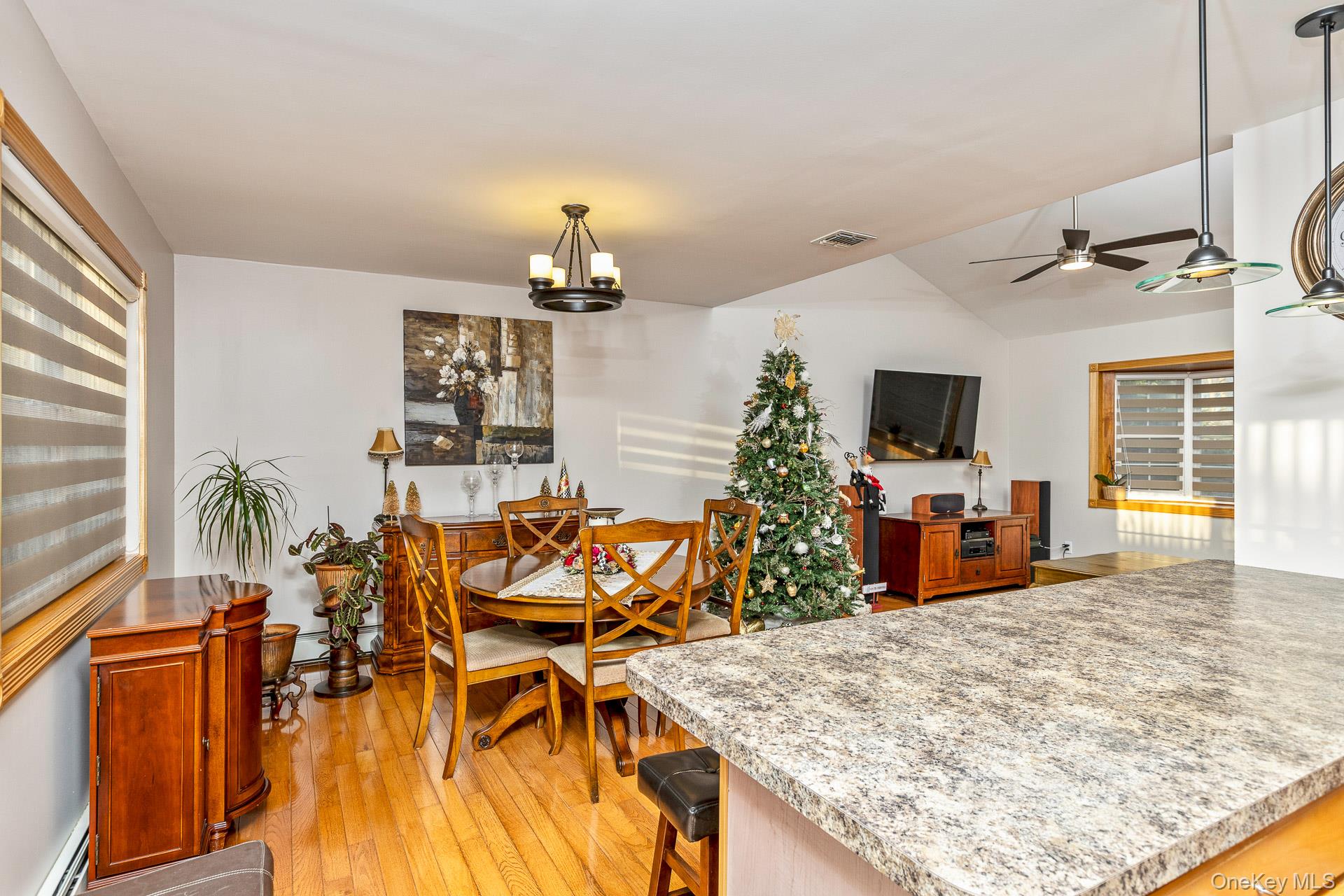 #14 photo, 25 Fordham Place, מחוז סאפוק Bay Shore , NY 11706