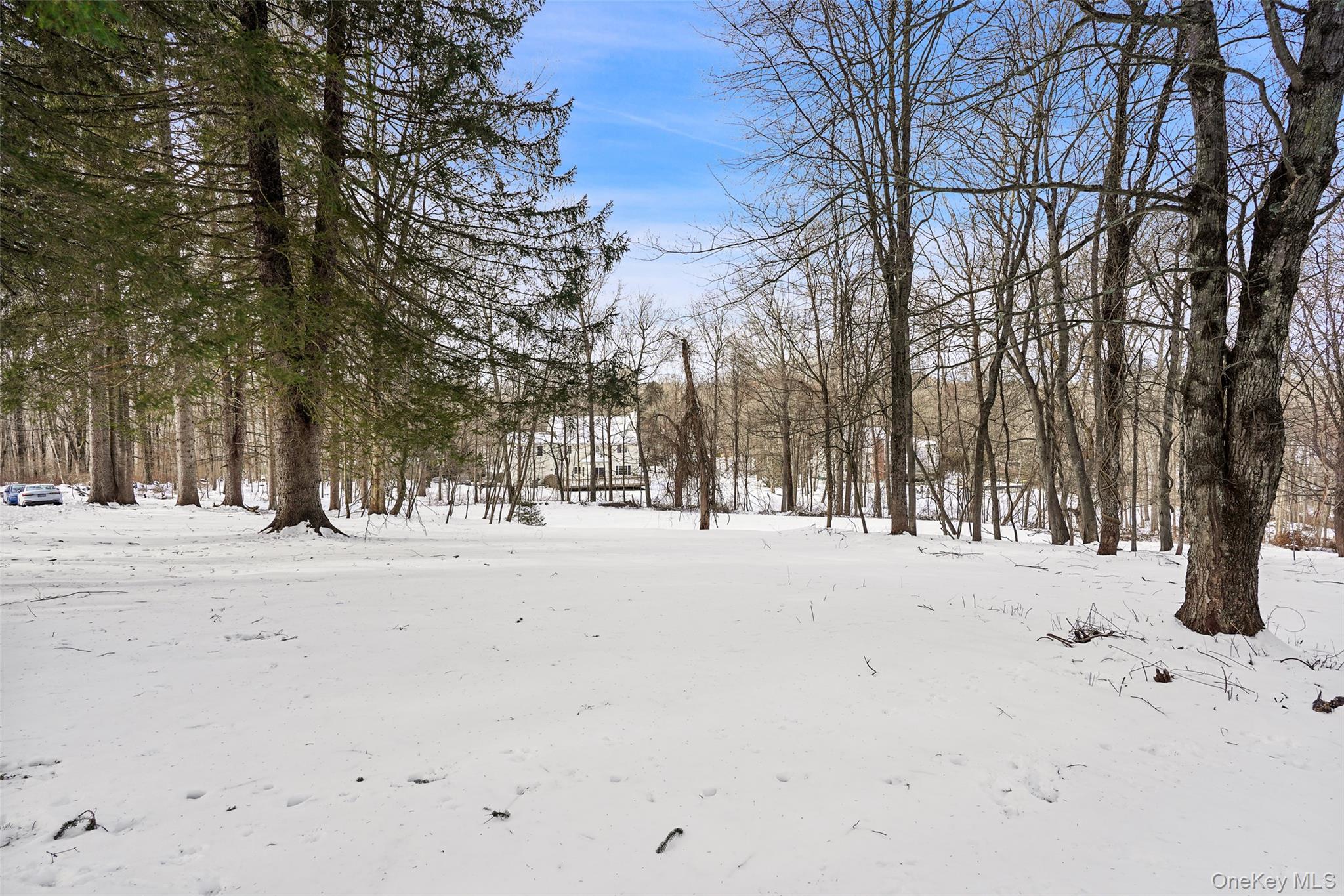 #20 photo, 22 Raspberry Lane, Carmel , NY 10512