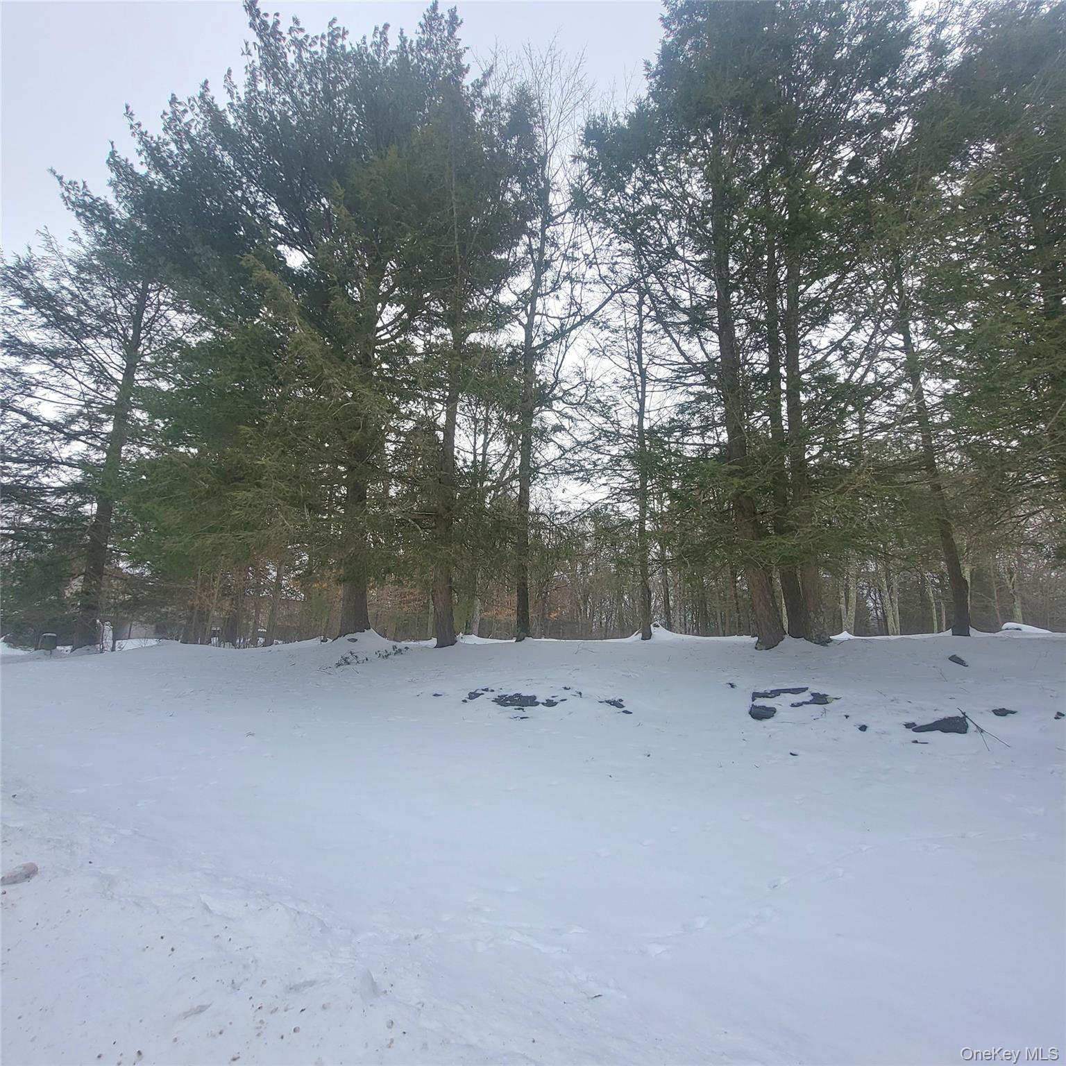 #3 photo, 000 Roslyn Ridge Road, Mongaup Valley , NY 12720