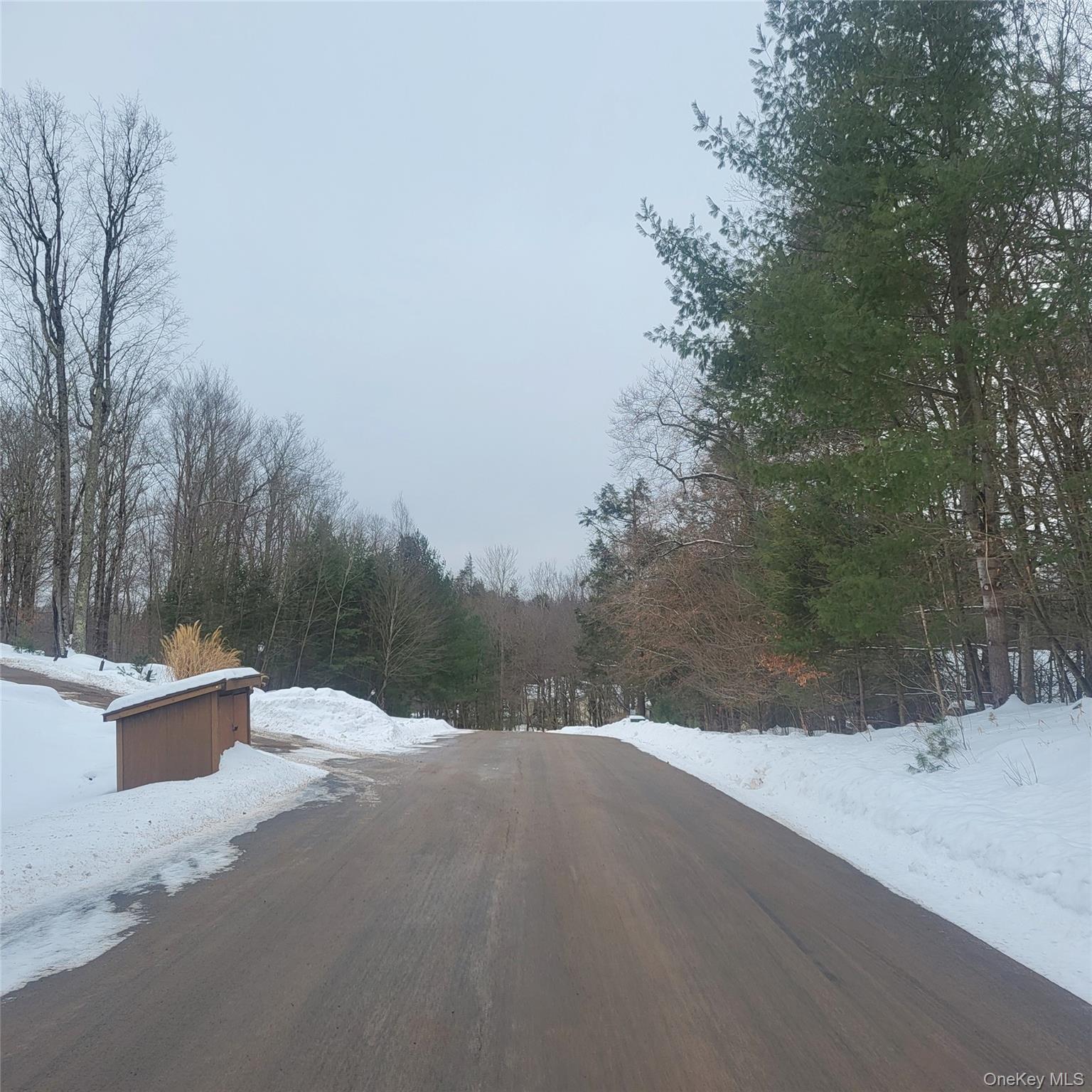 #4 photo, 000 Roslyn Ridge Road, Mongaup Valley , NY 12720