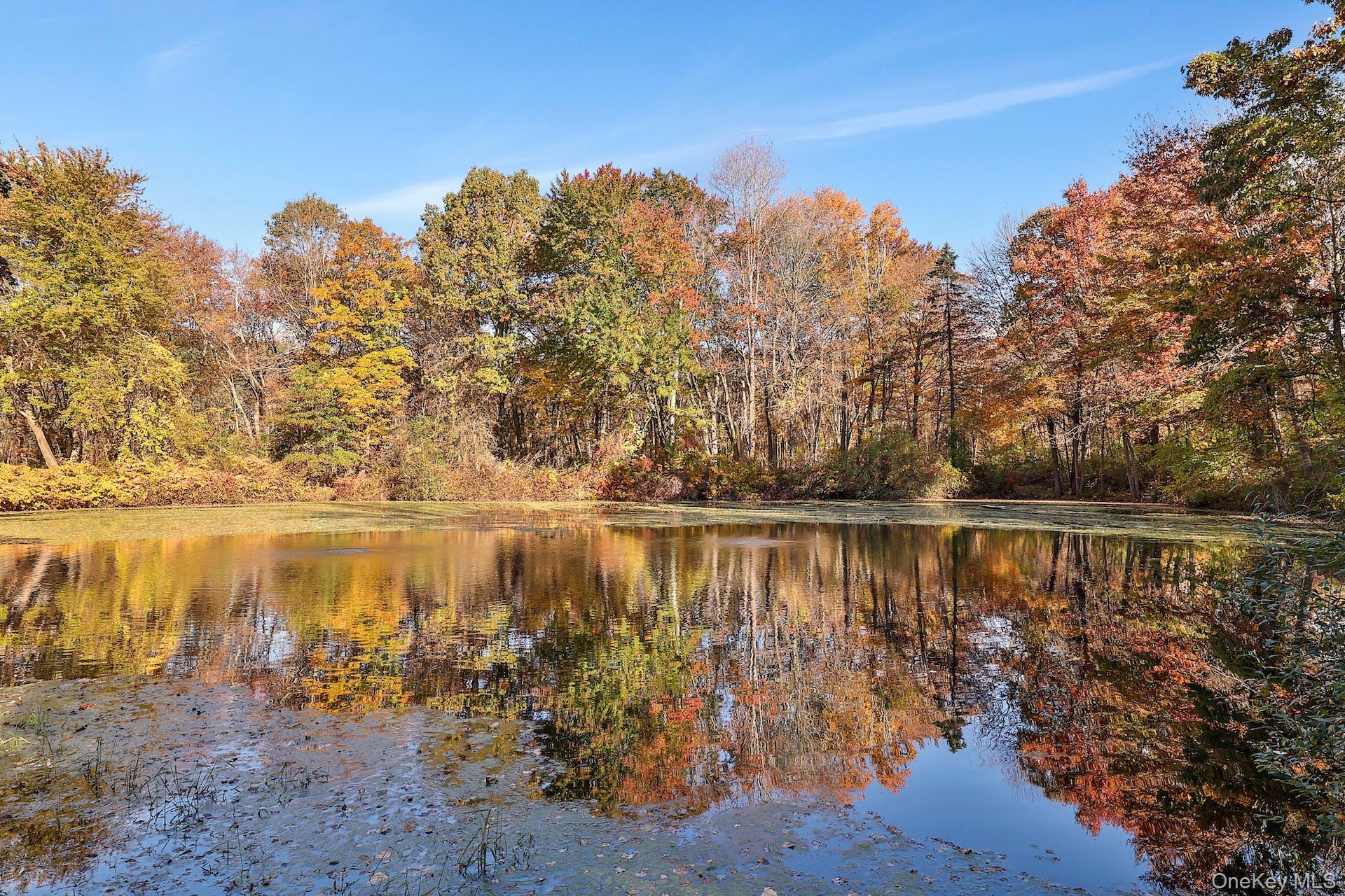 #18 photo, 32 School Street, Armonk , NY 10504