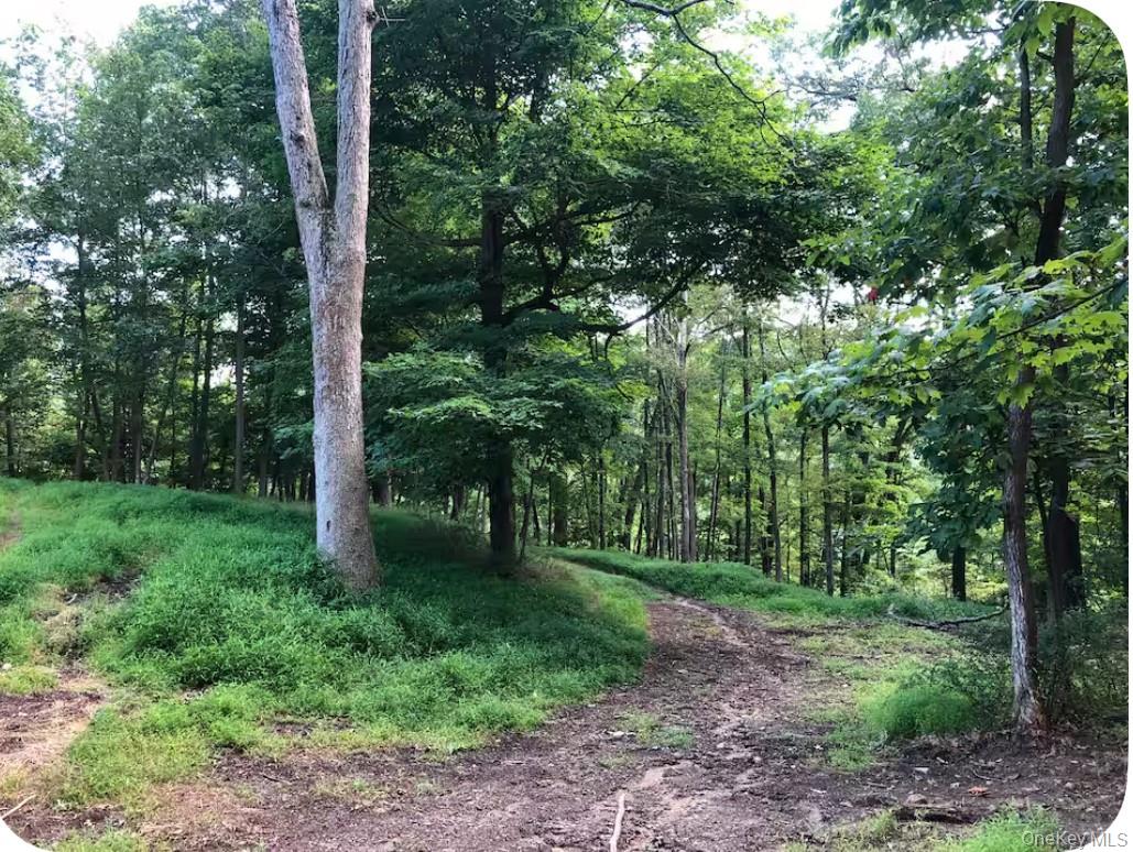#19 photo, 137 Canterbury Road, Fort Montgomery , NY 10922