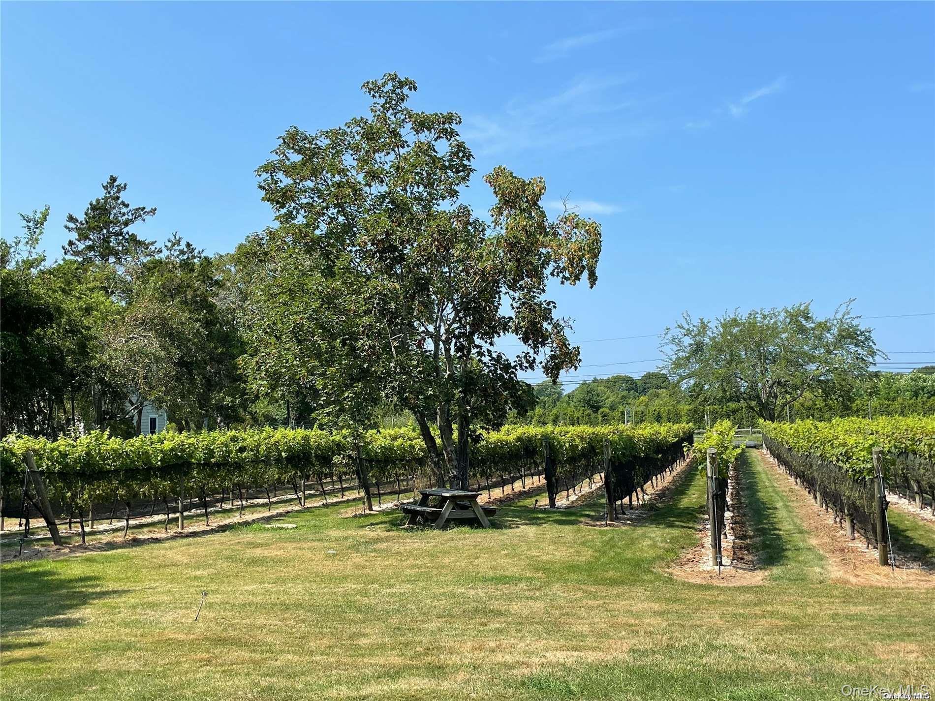 #11 photo, 1050 King Street, Orient , NY 11957