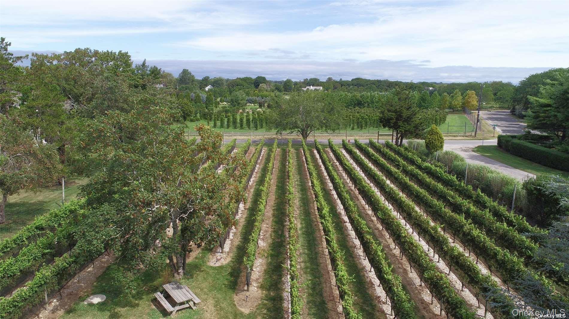 #13 photo, 1050 King Street, Orient , NY 11957