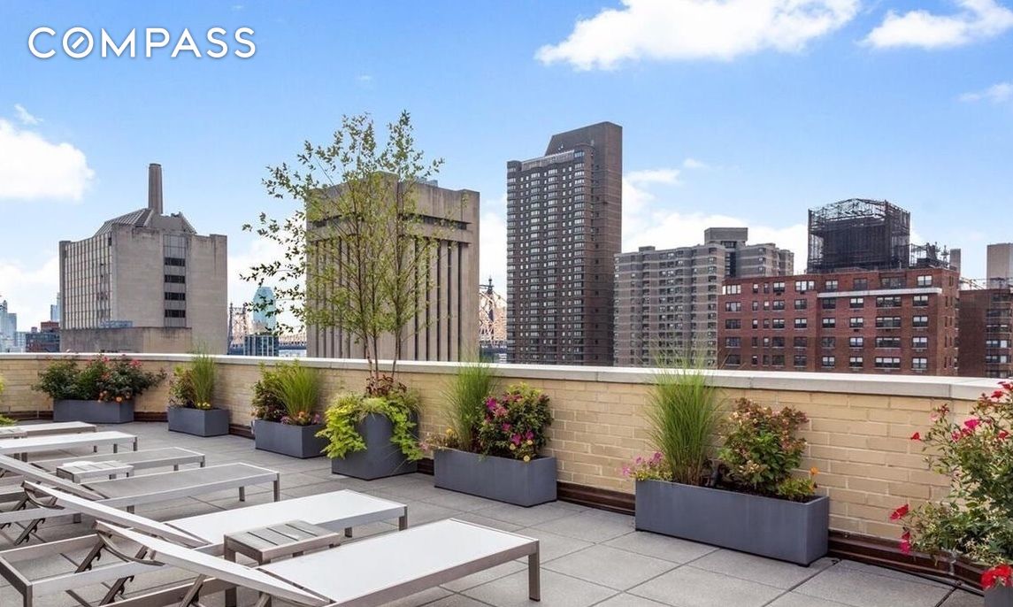 #14 photo, 435 E 65th Street, Lenox Hill , NY 10065