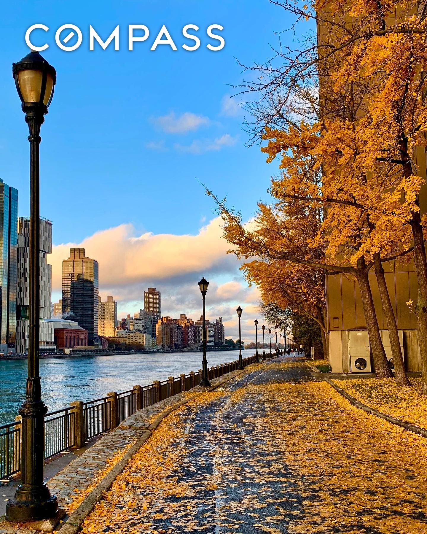 #15 photo, 555 Main Street, مانهاتن Roosevelt Island , NY 10044