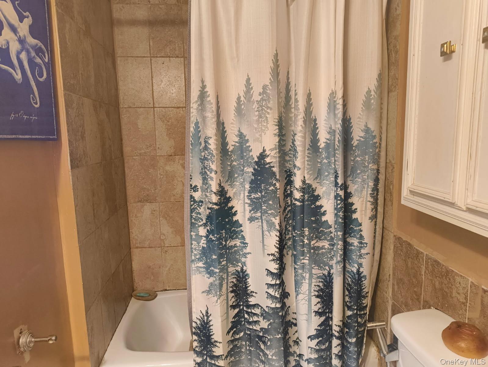 #11 photo, 18 Maple Street, Mountain Dale , NY 12763