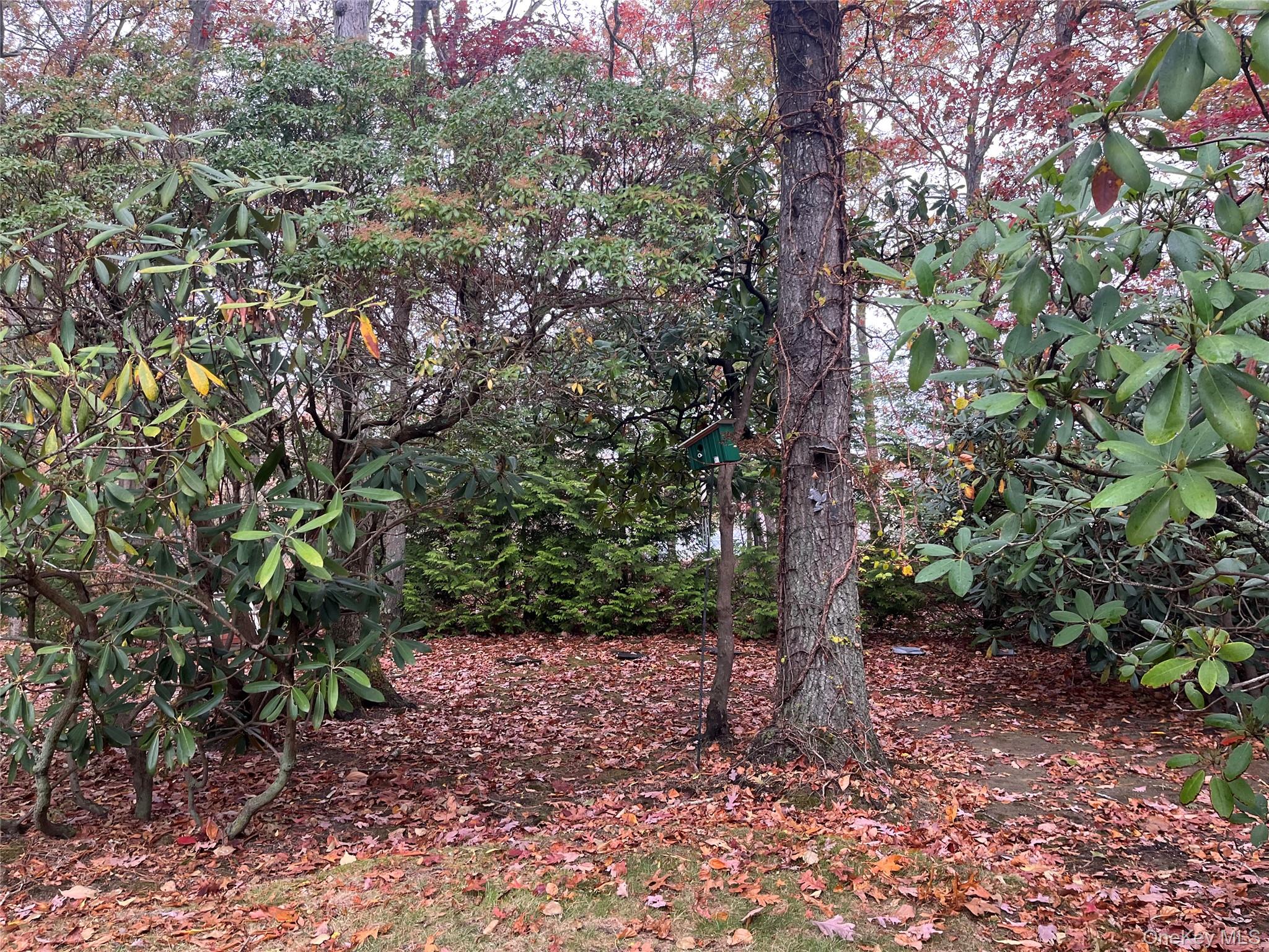 #1 photo, Lot 16 Fox Hunt Lane, Yaphank , NY 11980