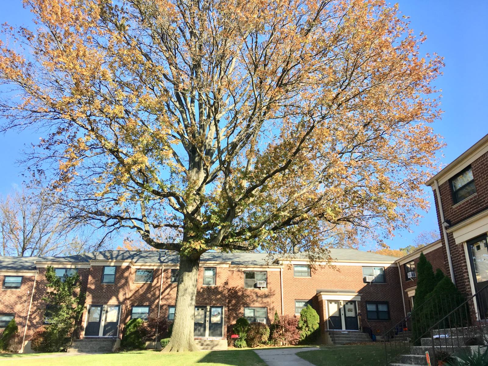 #19 photo, 75-31 217 Street, #2Fl, Bayside , NY 11364