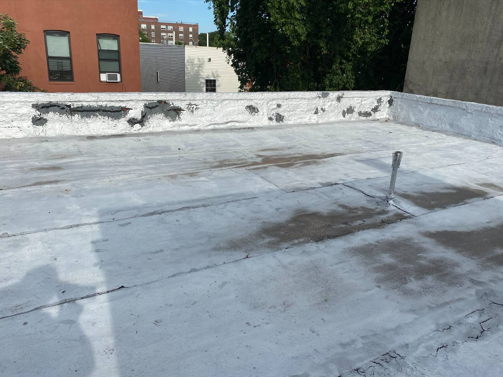 #21 photo, 321 Milford St, East New York , NY 11208