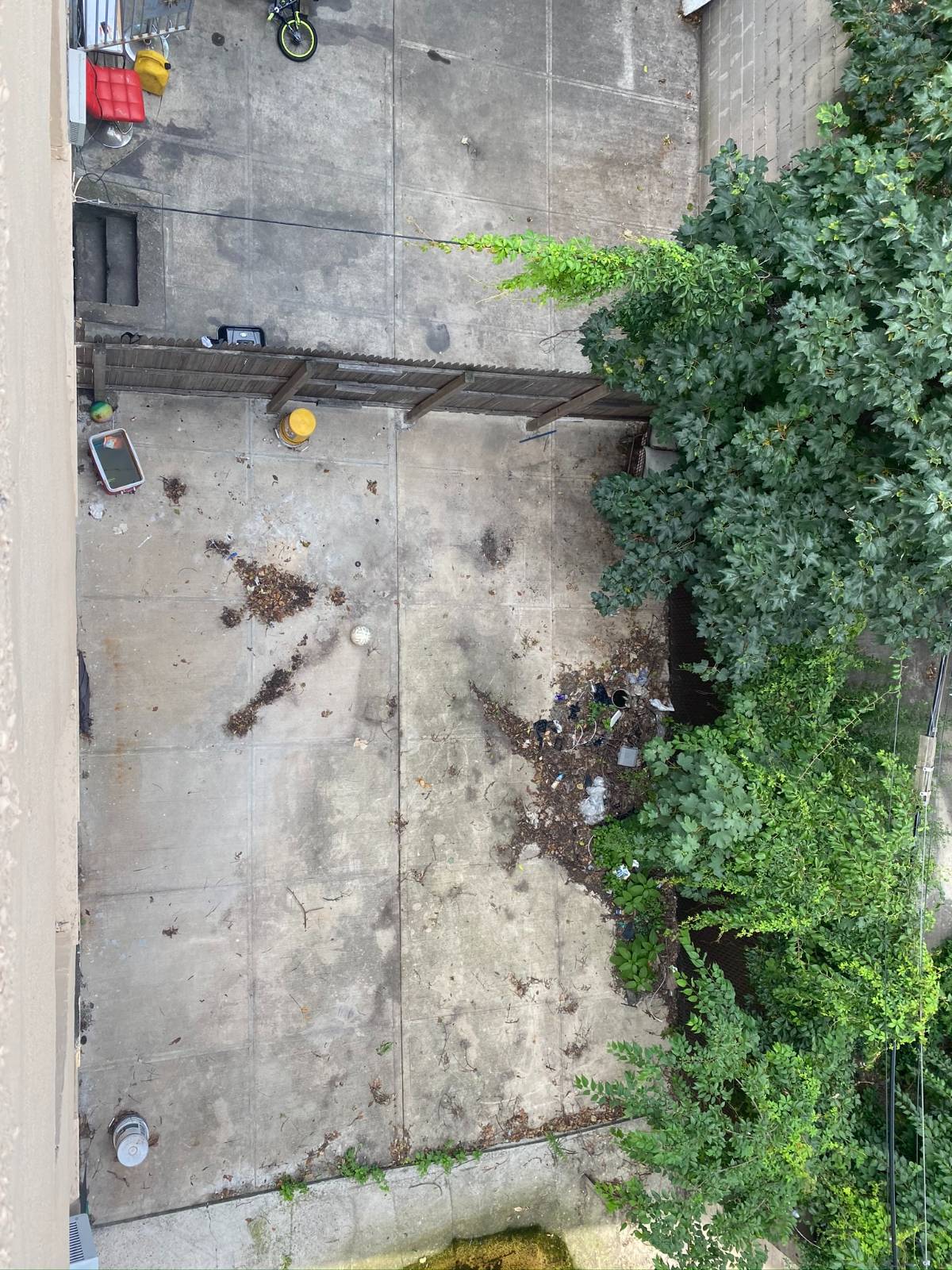 #23 photo, 321 Milford St, East New York , NY 11208