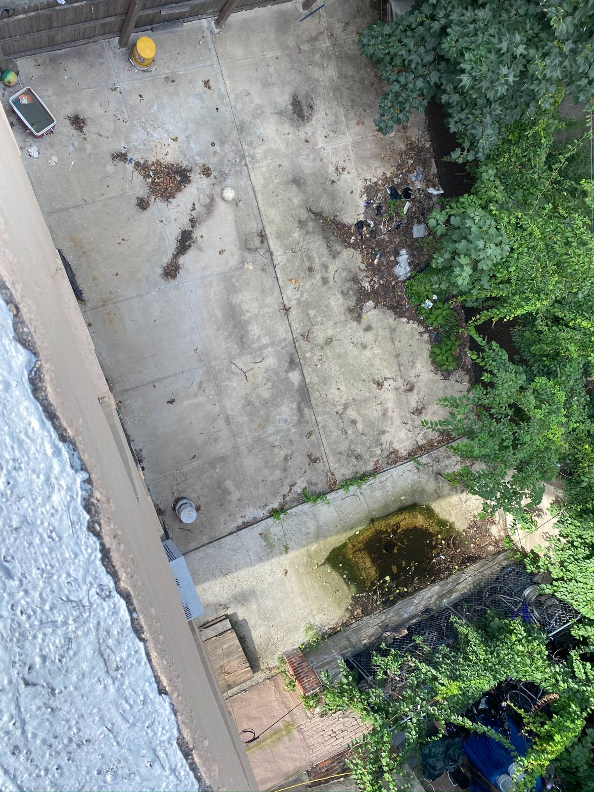 #24 photo, 321 Milford St, East New York , NY 11208